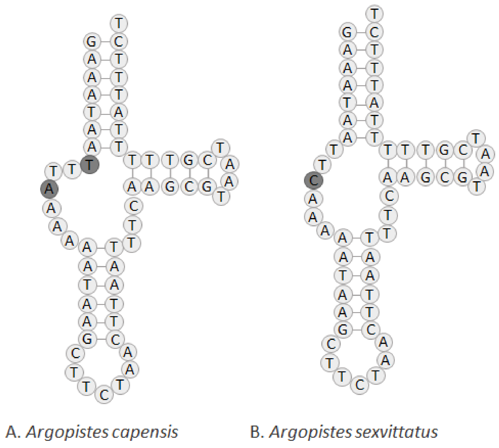 Genes 13 02195 g005 Genes 13 02195 g005