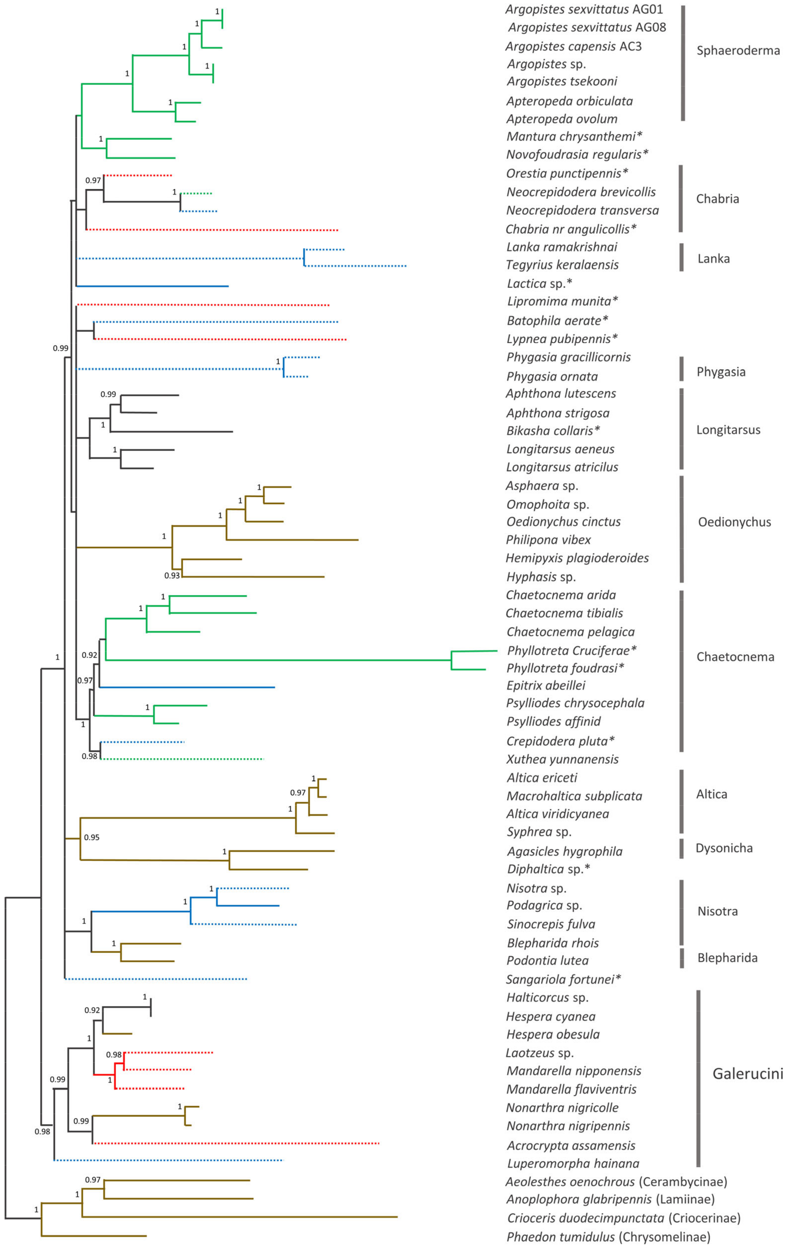 Genes 13 02195 g009 Genes 13 02195 g009