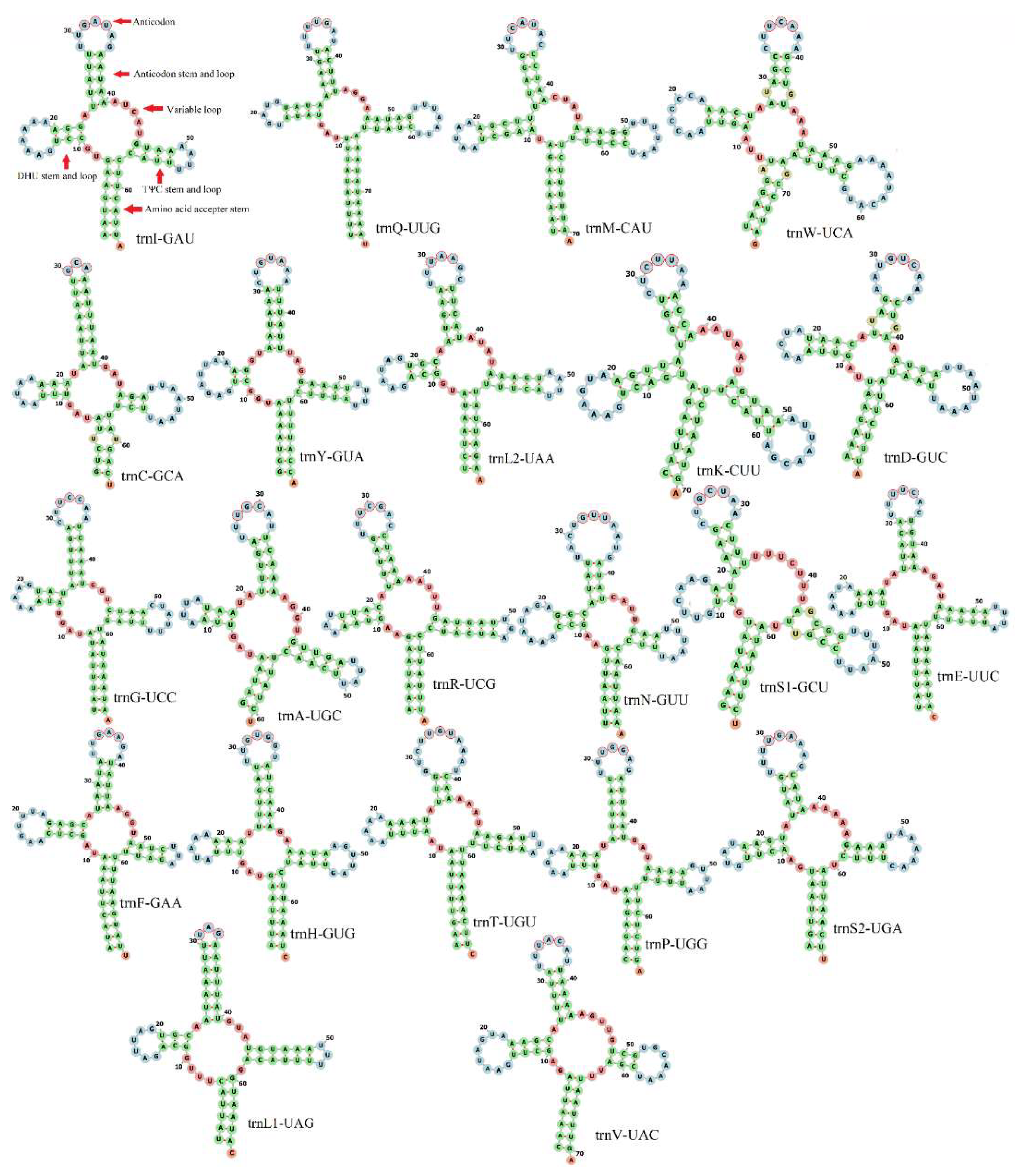 Genes 13 02199 g004 Genes 13 02199 g004