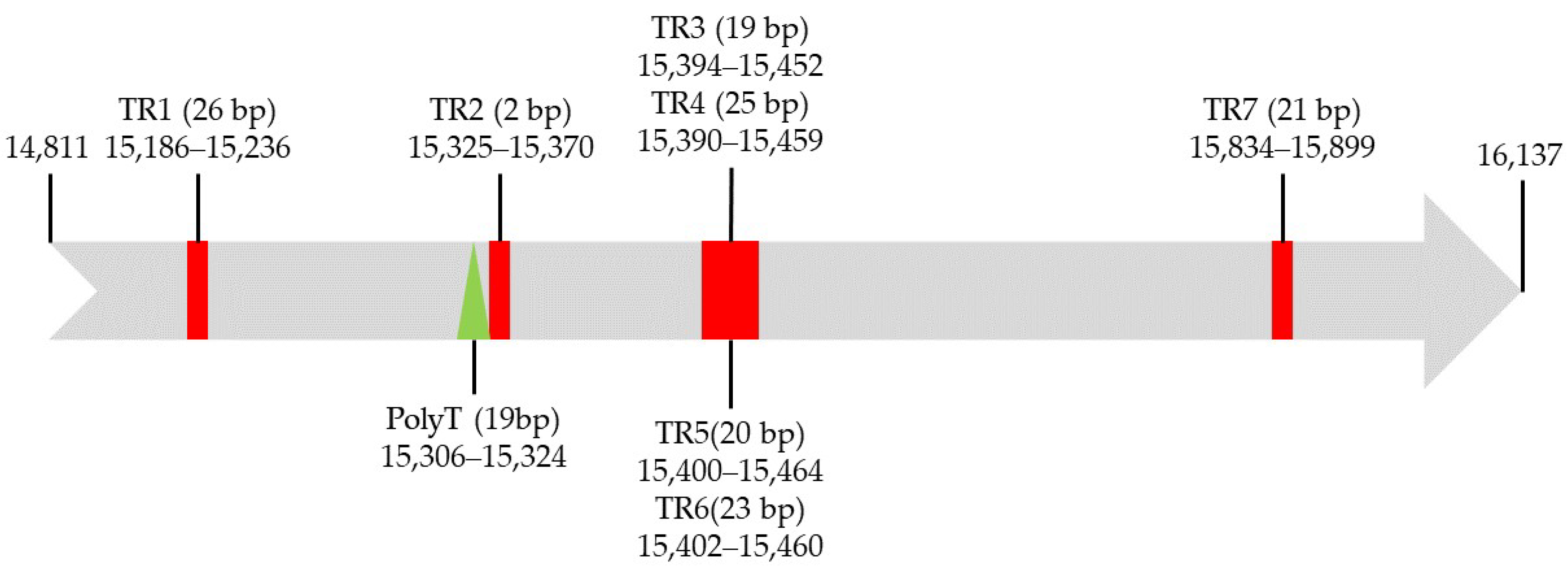 Genes 13 02199 g005 Genes 13 02199 g005