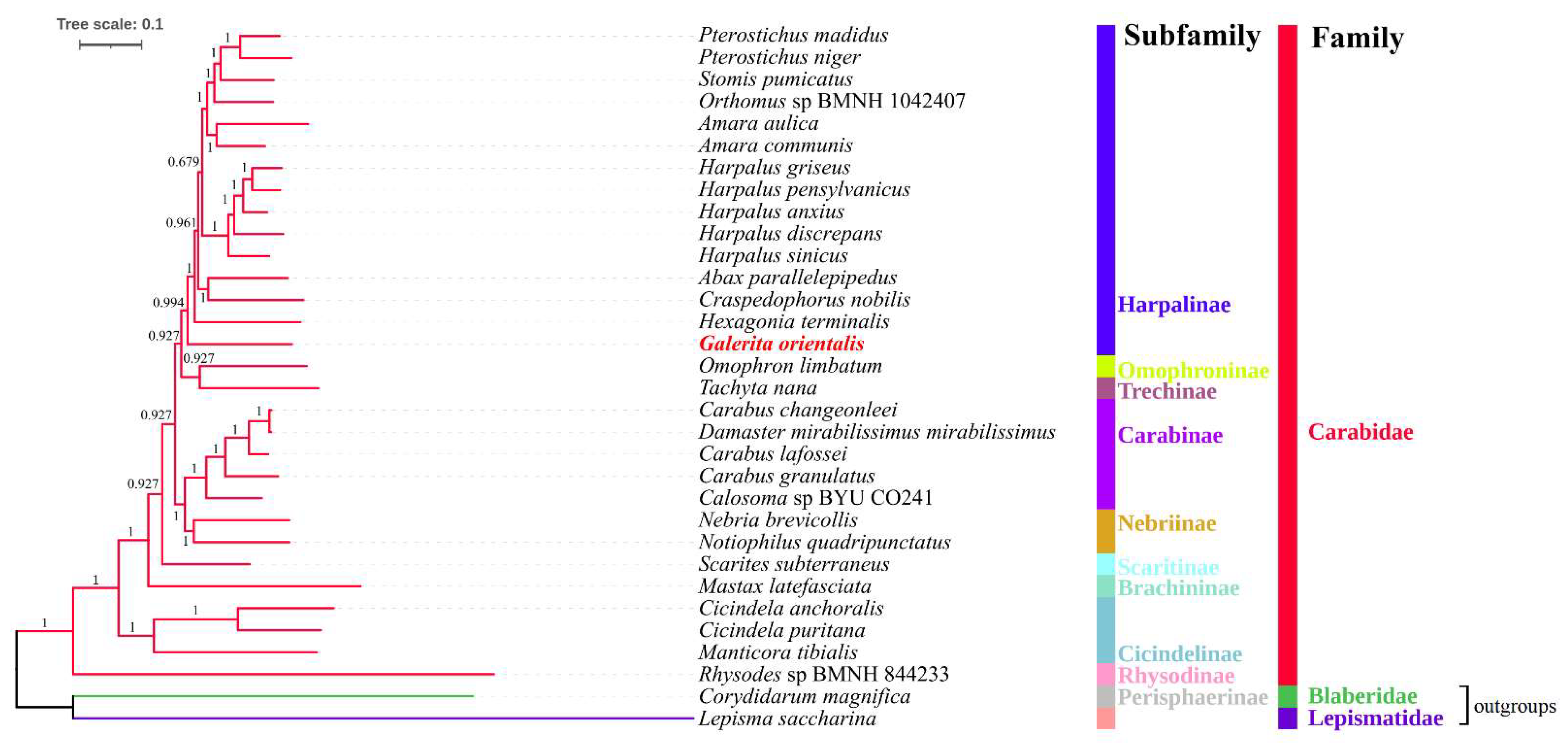 Genes 13 02199 g006 Genes 13 02199 g006