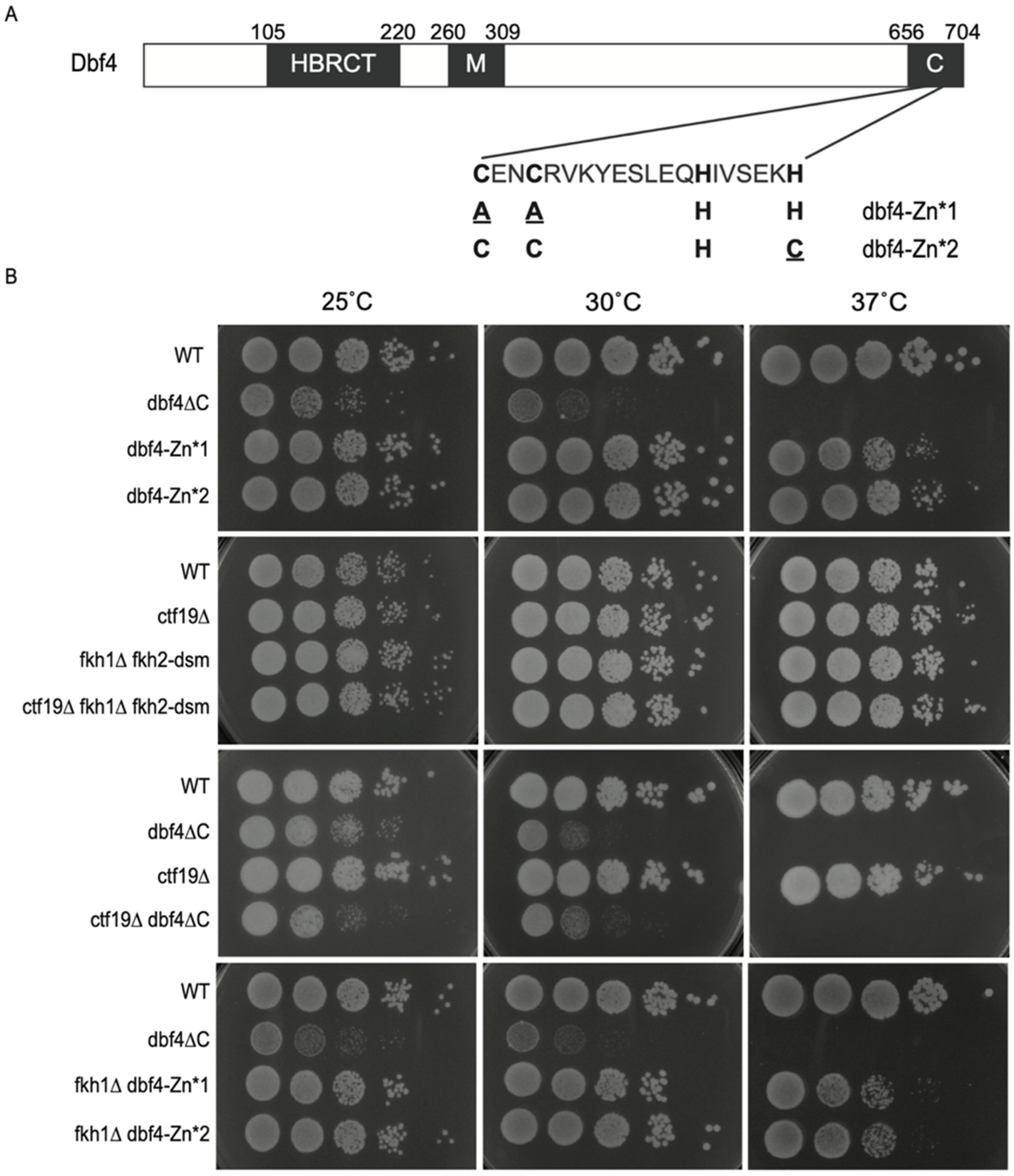 Genes 13 02202 g001 Genes 13 02202 g001
