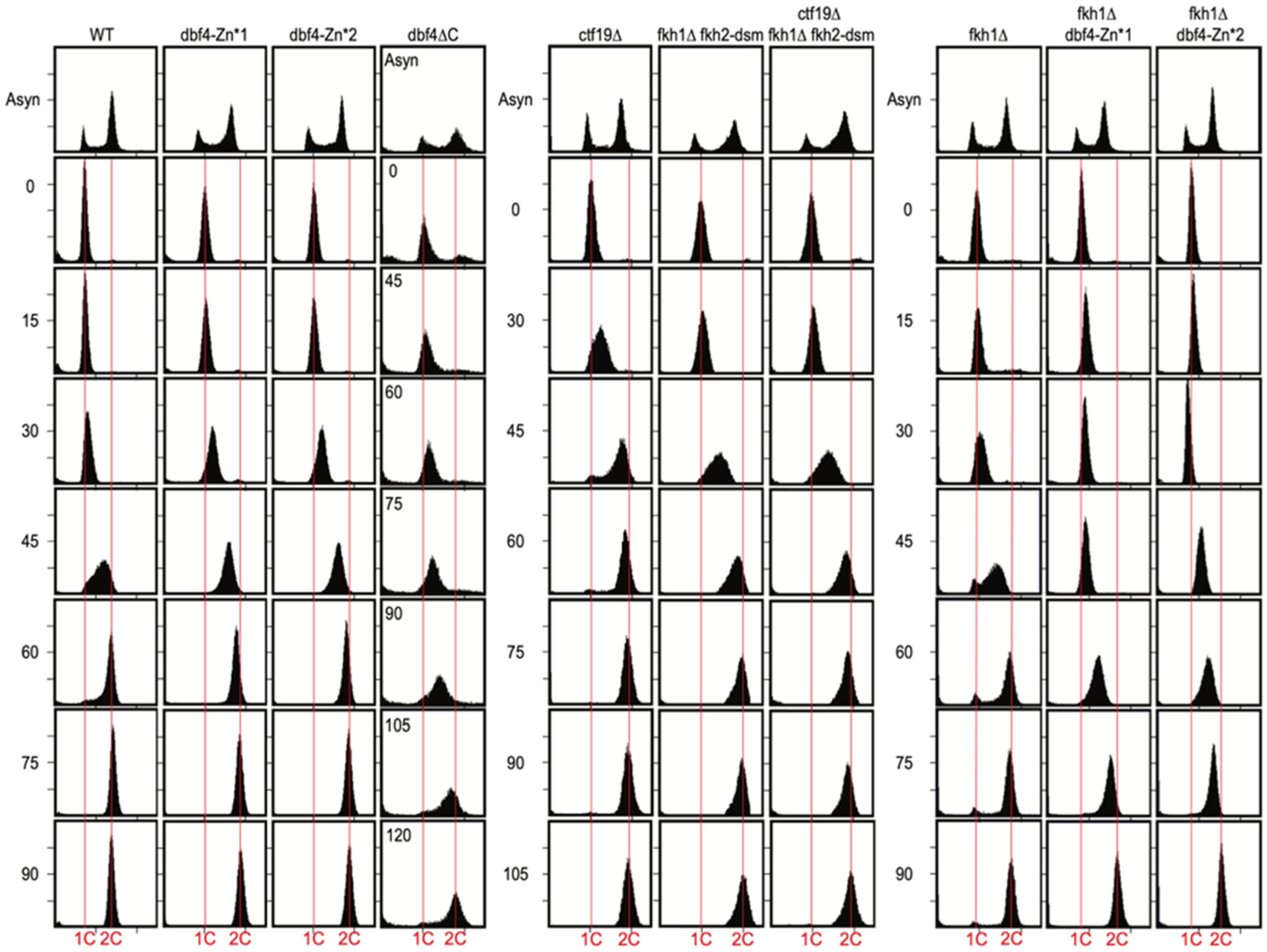 Genes 13 02202 g002 Genes 13 02202 g002
