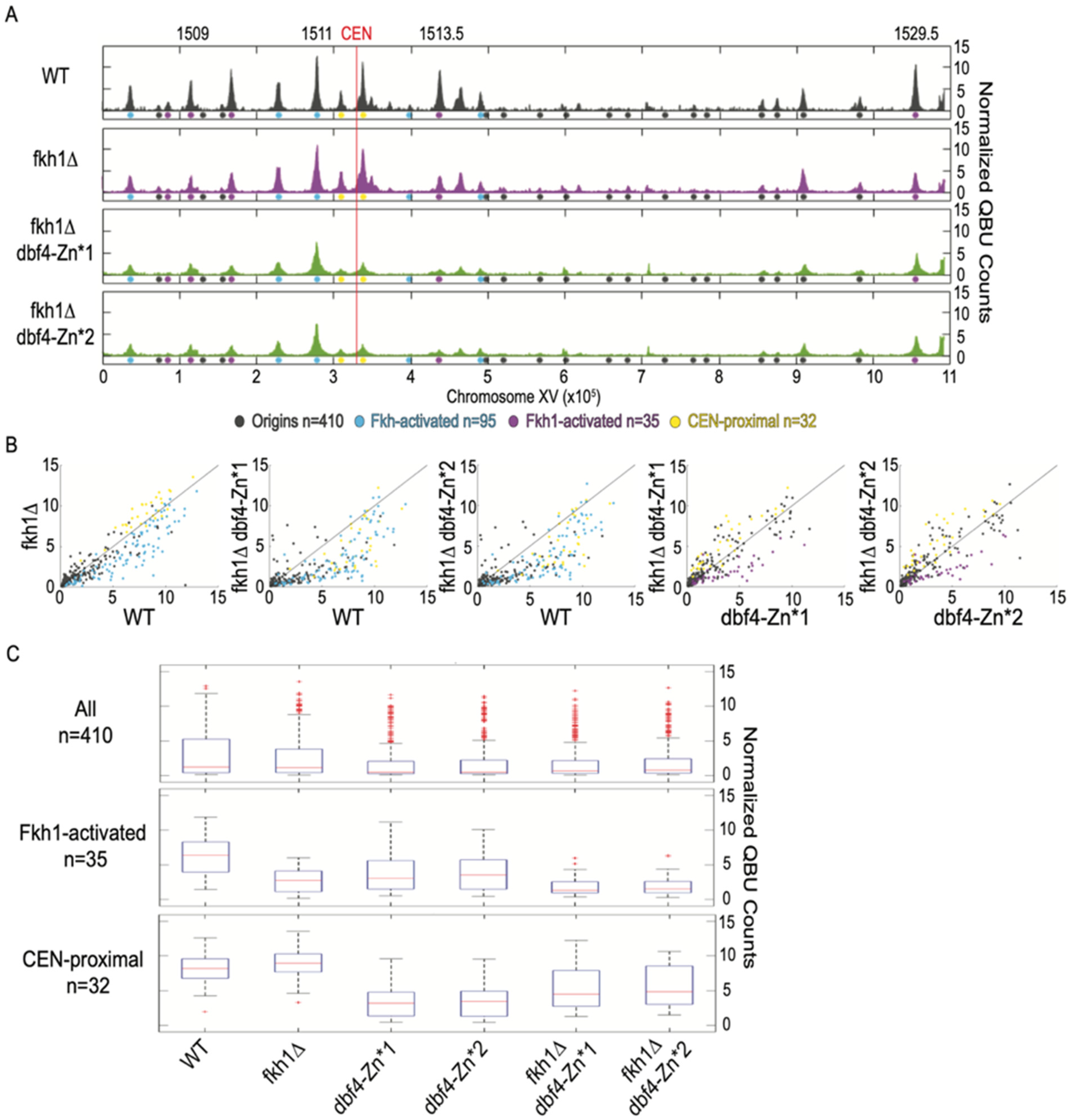 Genes 13 02202 g004 Genes 13 02202 g004