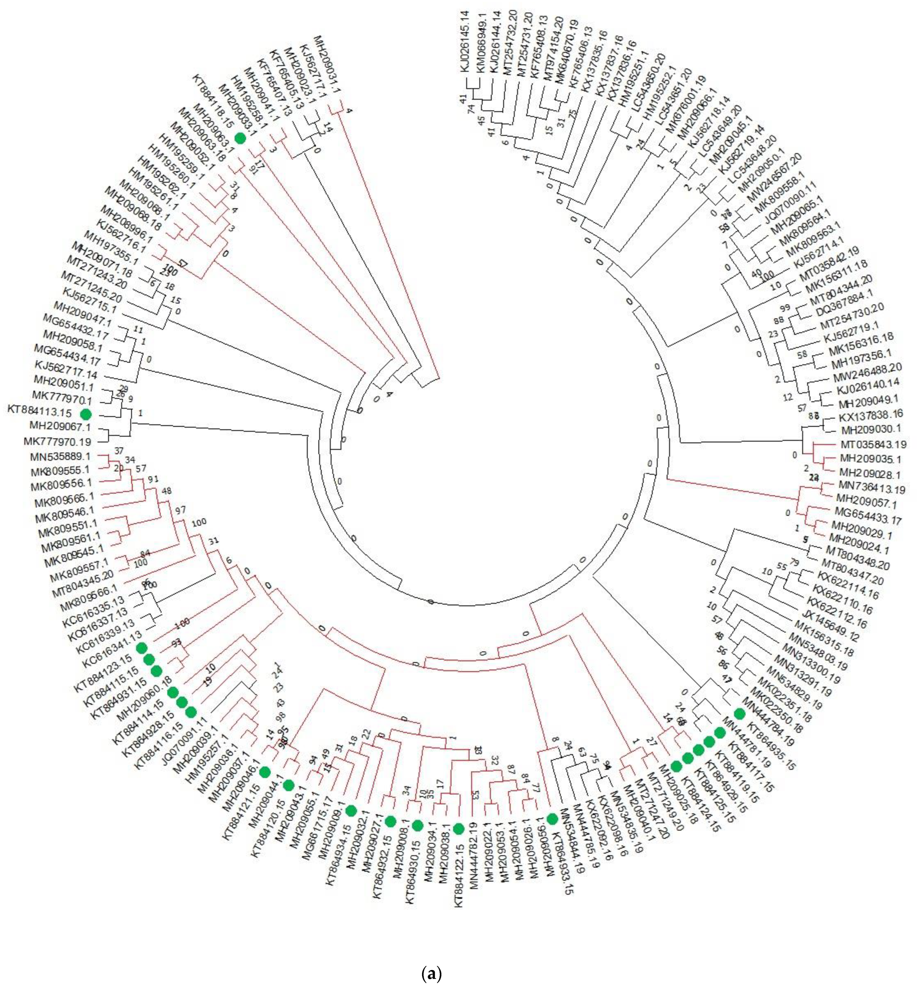 Genes 13 02206 g001a Genes 13 02206 g001a