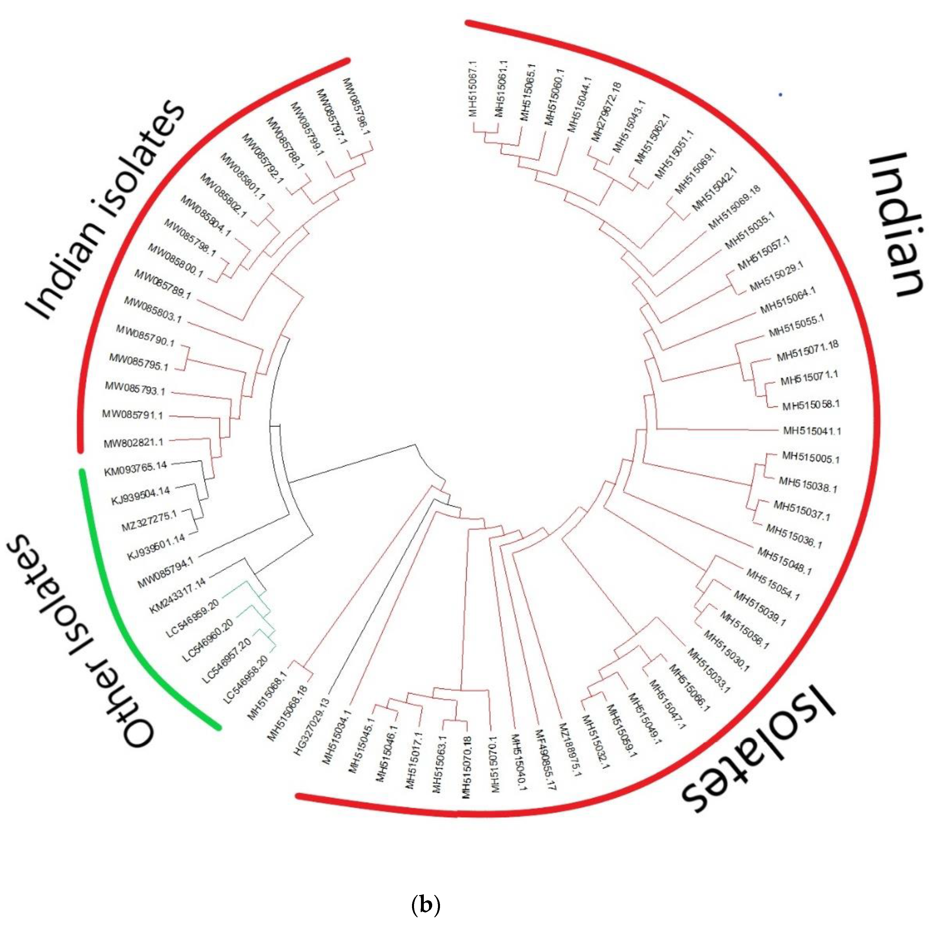 Genes 13 02206 g001b Genes 13 02206 g001b