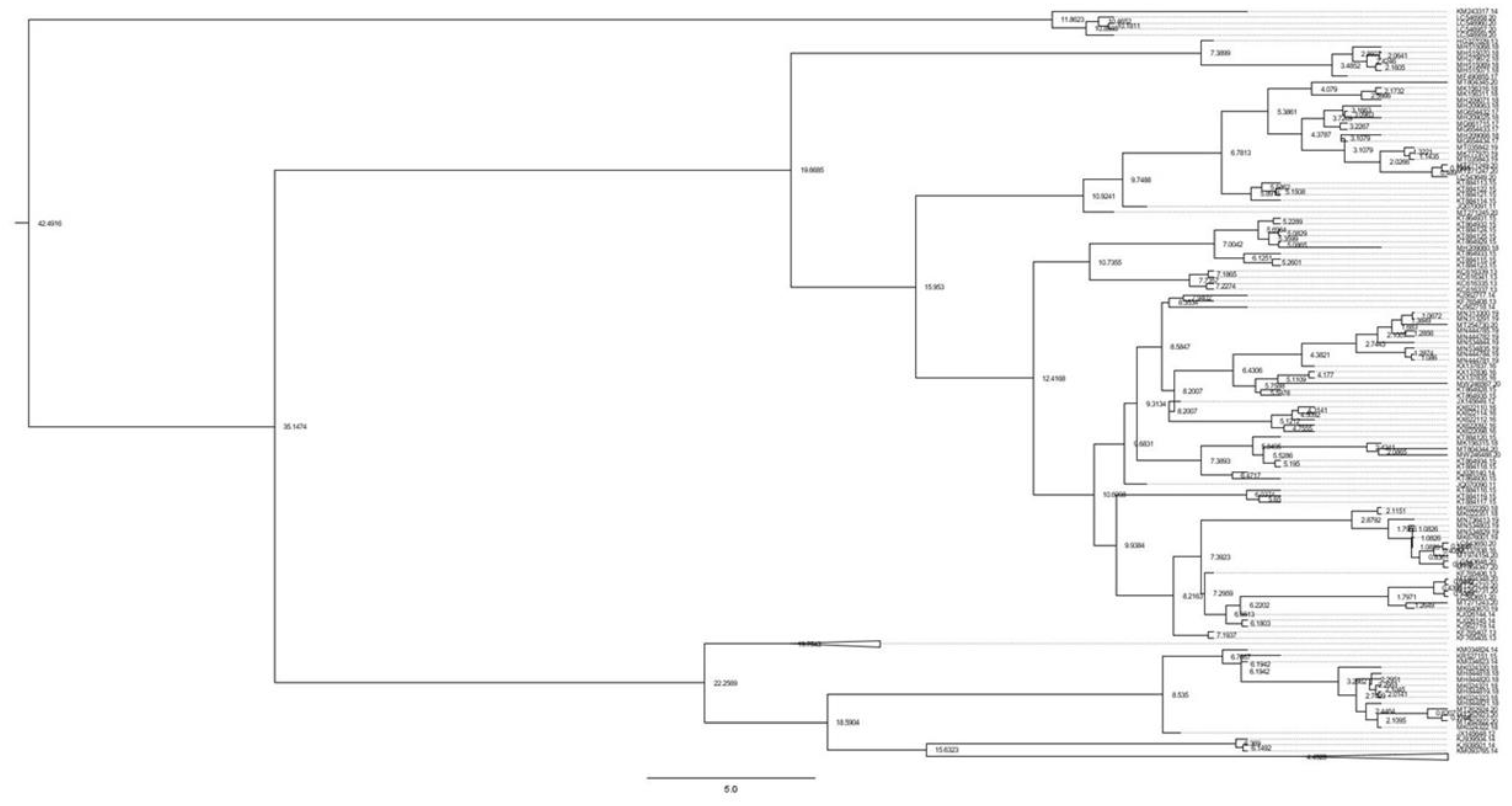 Genes 13 02206 g004 Genes 13 02206 g004