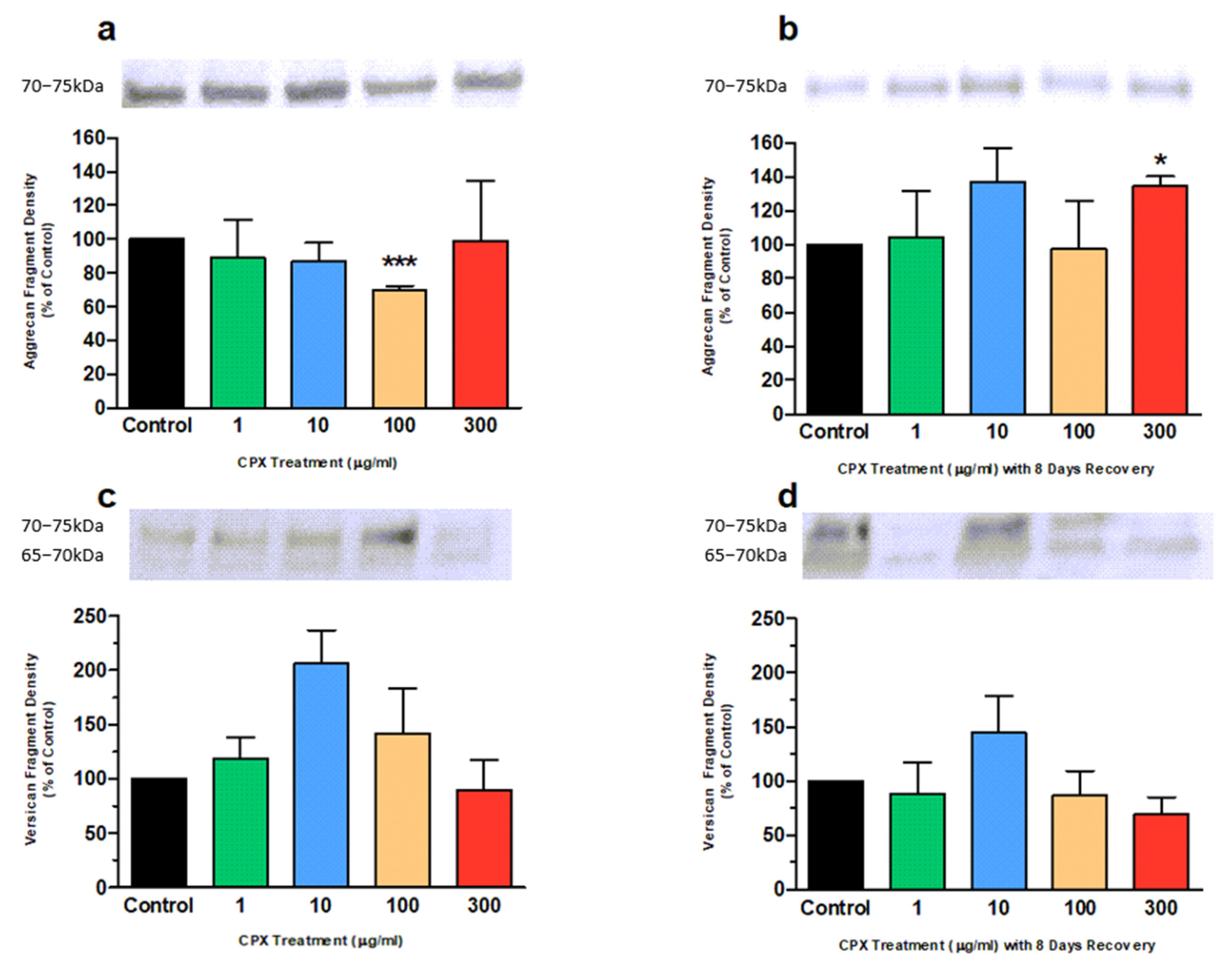 Genes 13 02210 g002 Genes 13 02210 g002