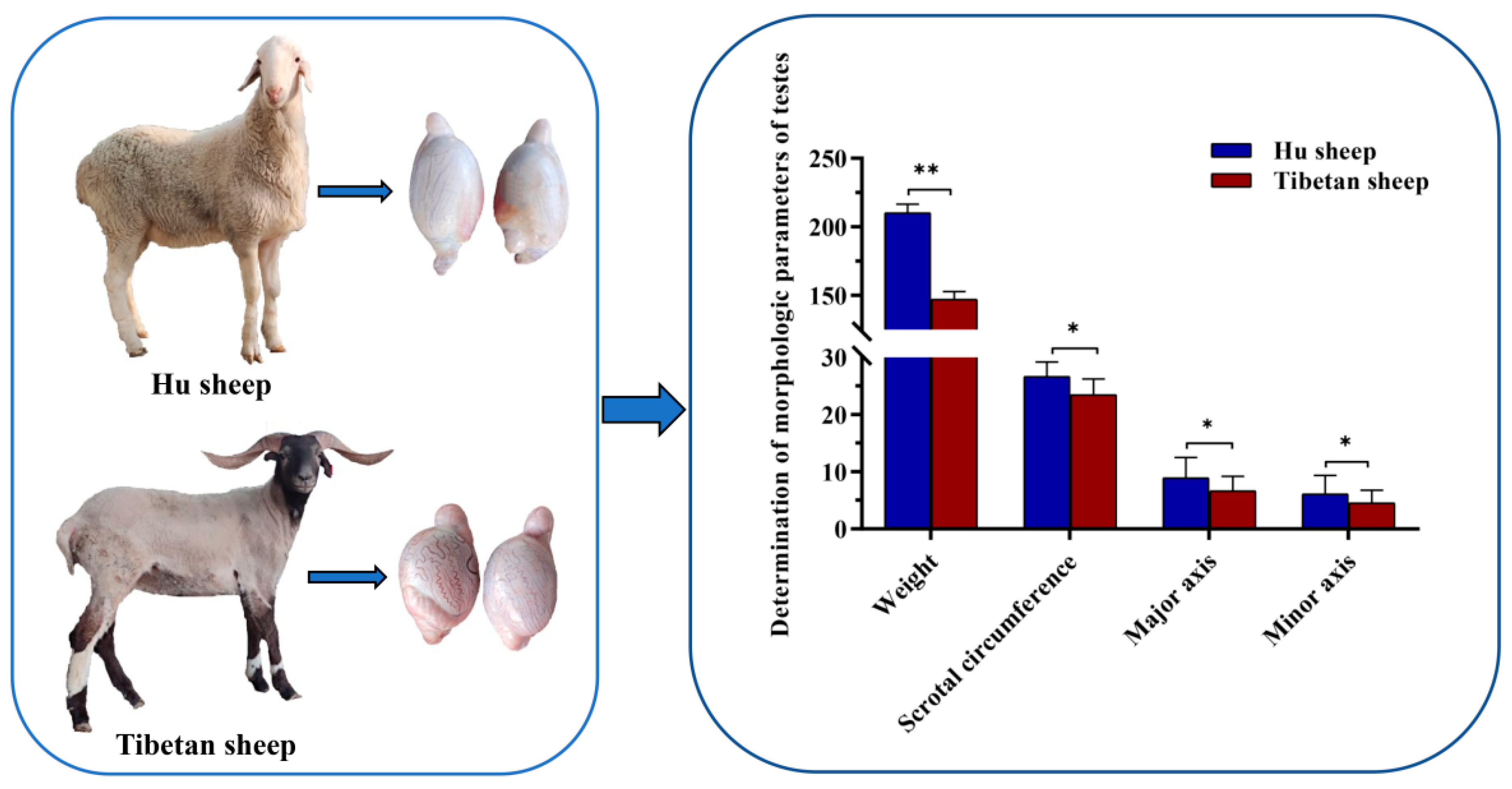 Genes 13 02212 g001 Genes 13 02212 g001