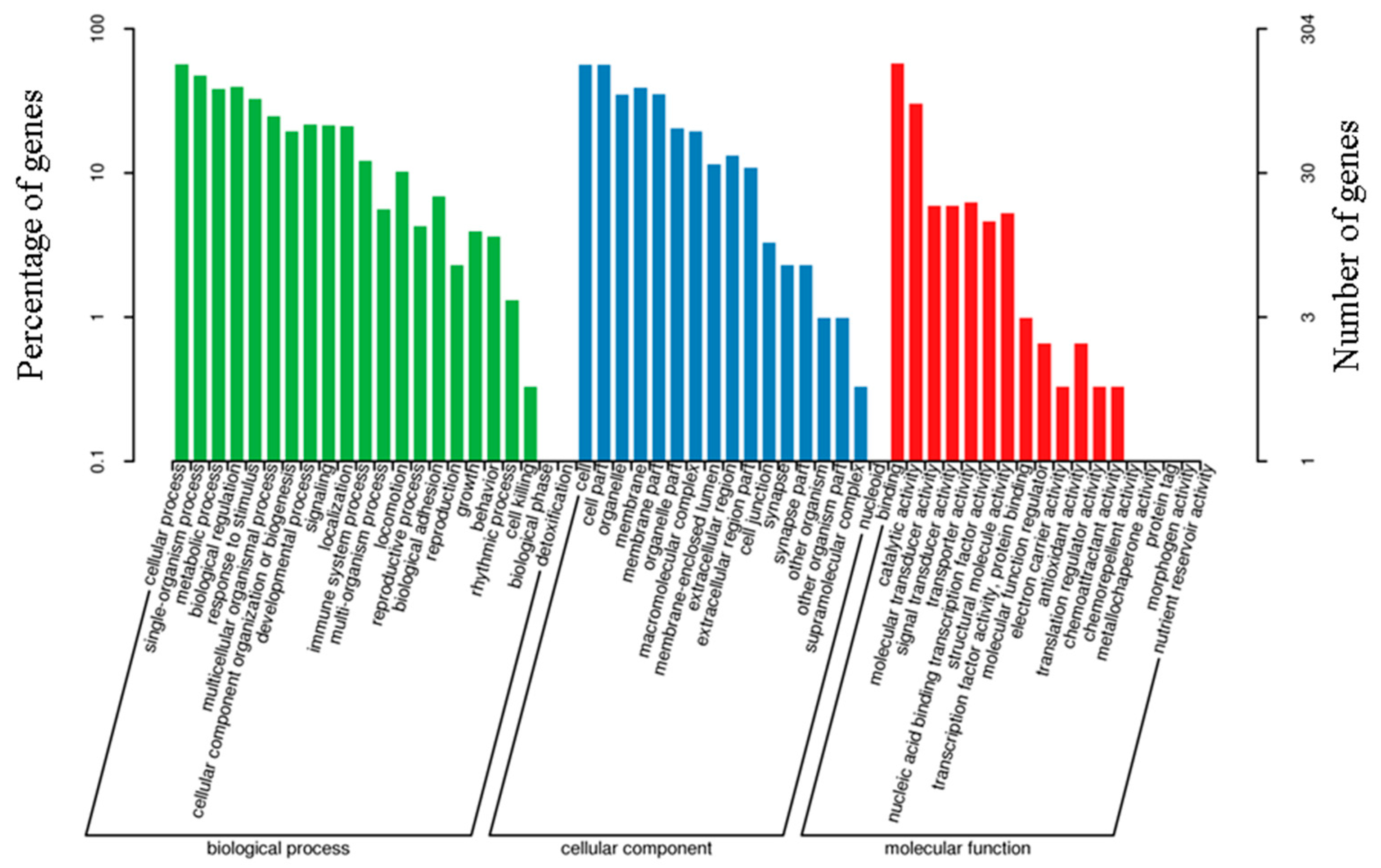 Genes 13 02212 g007 Genes 13 02212 g007