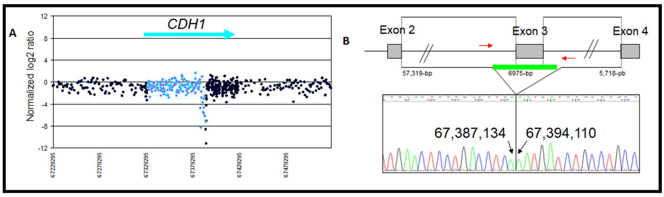 Genes 13 02213 g002 Genes 13 02213 g002