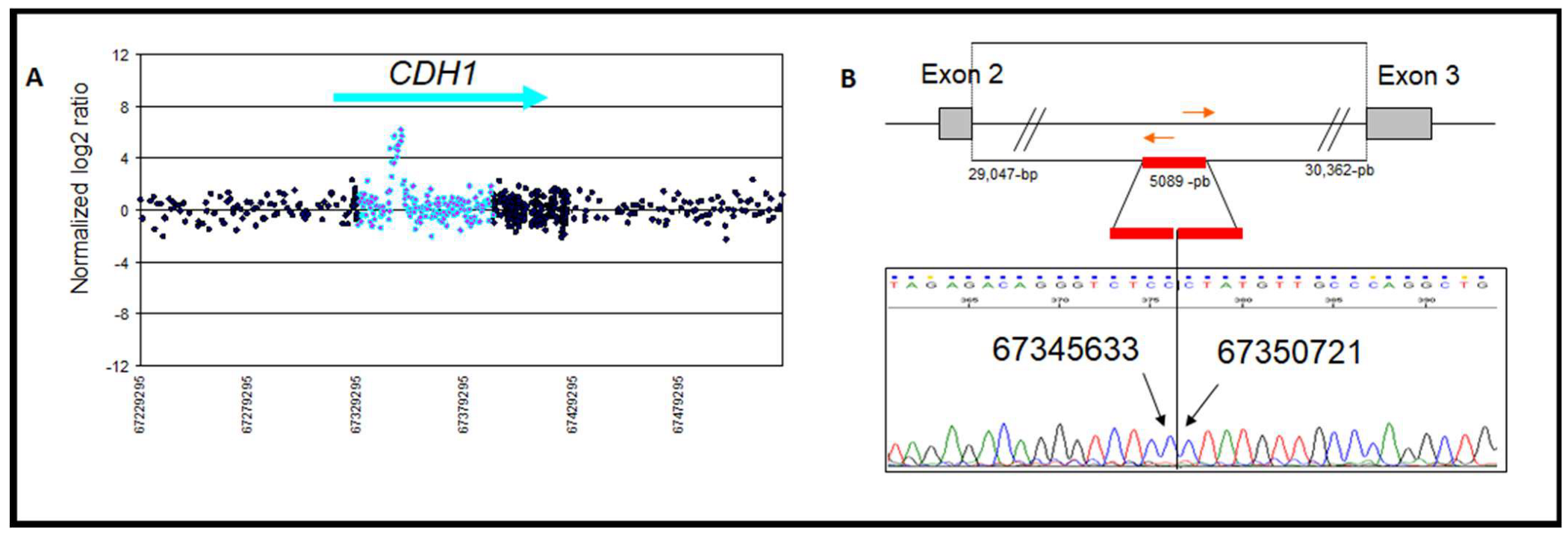 Genes 13 02213 g004 Genes 13 02213 g004