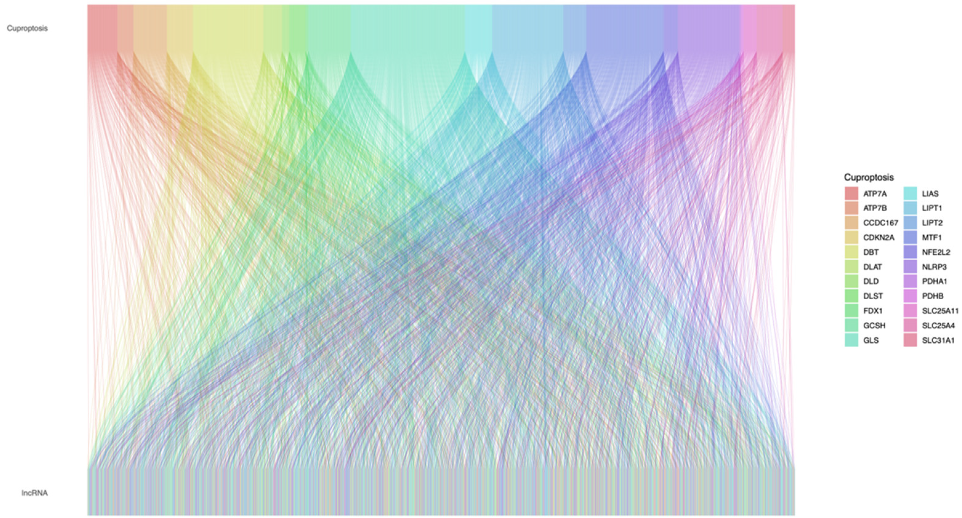 Genes 13 02214 g001 Genes 13 02214 g001