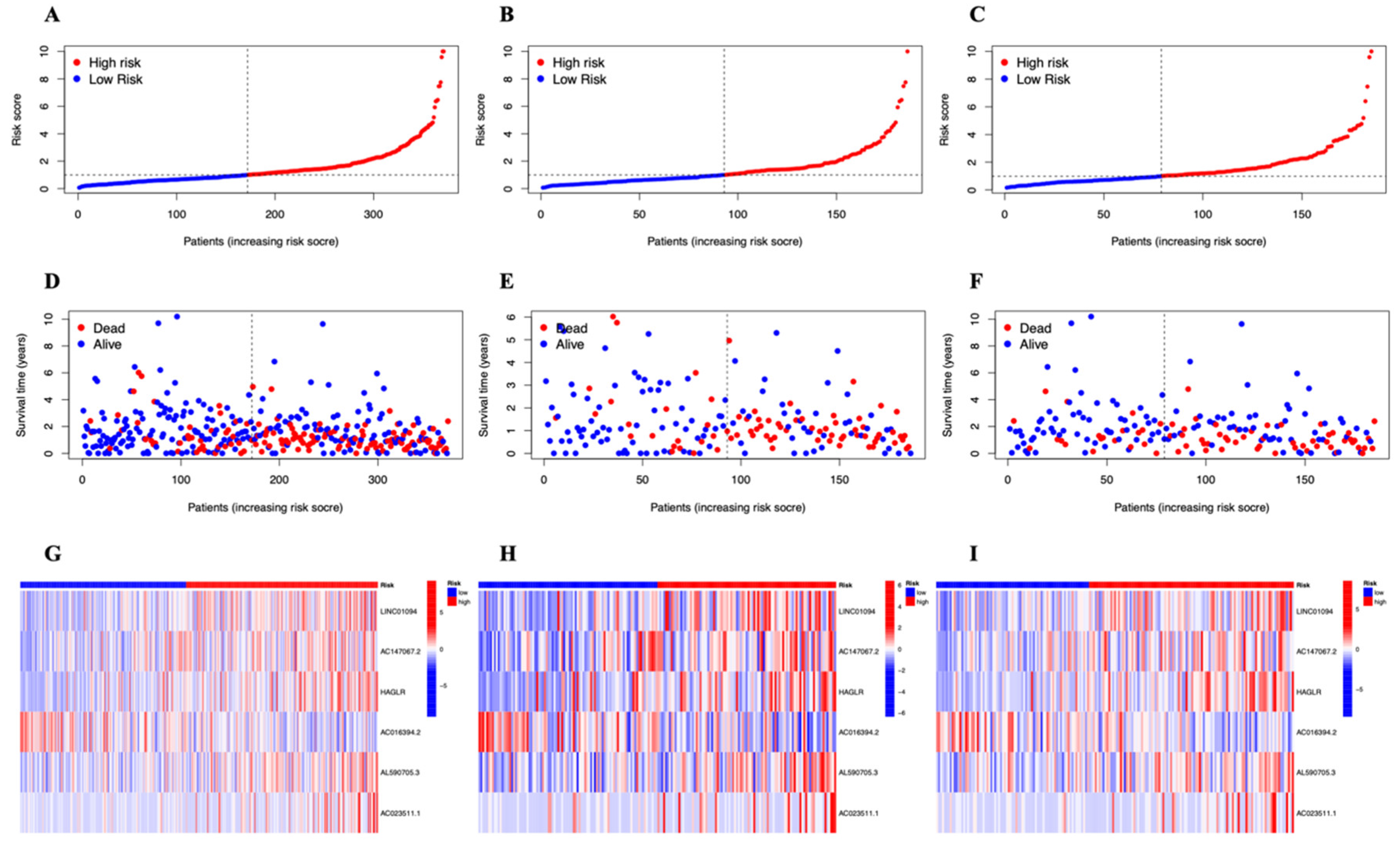 Genes 13 02214 g004 Genes 13 02214 g004