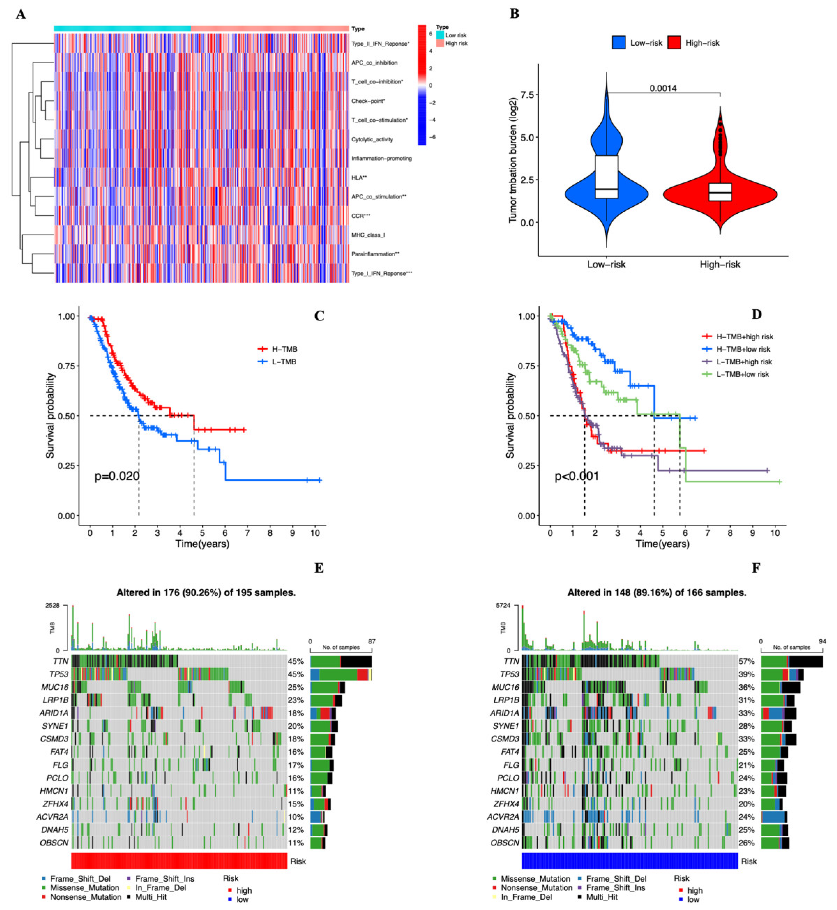 Genes 13 02214 g009 Genes 13 02214 g009
