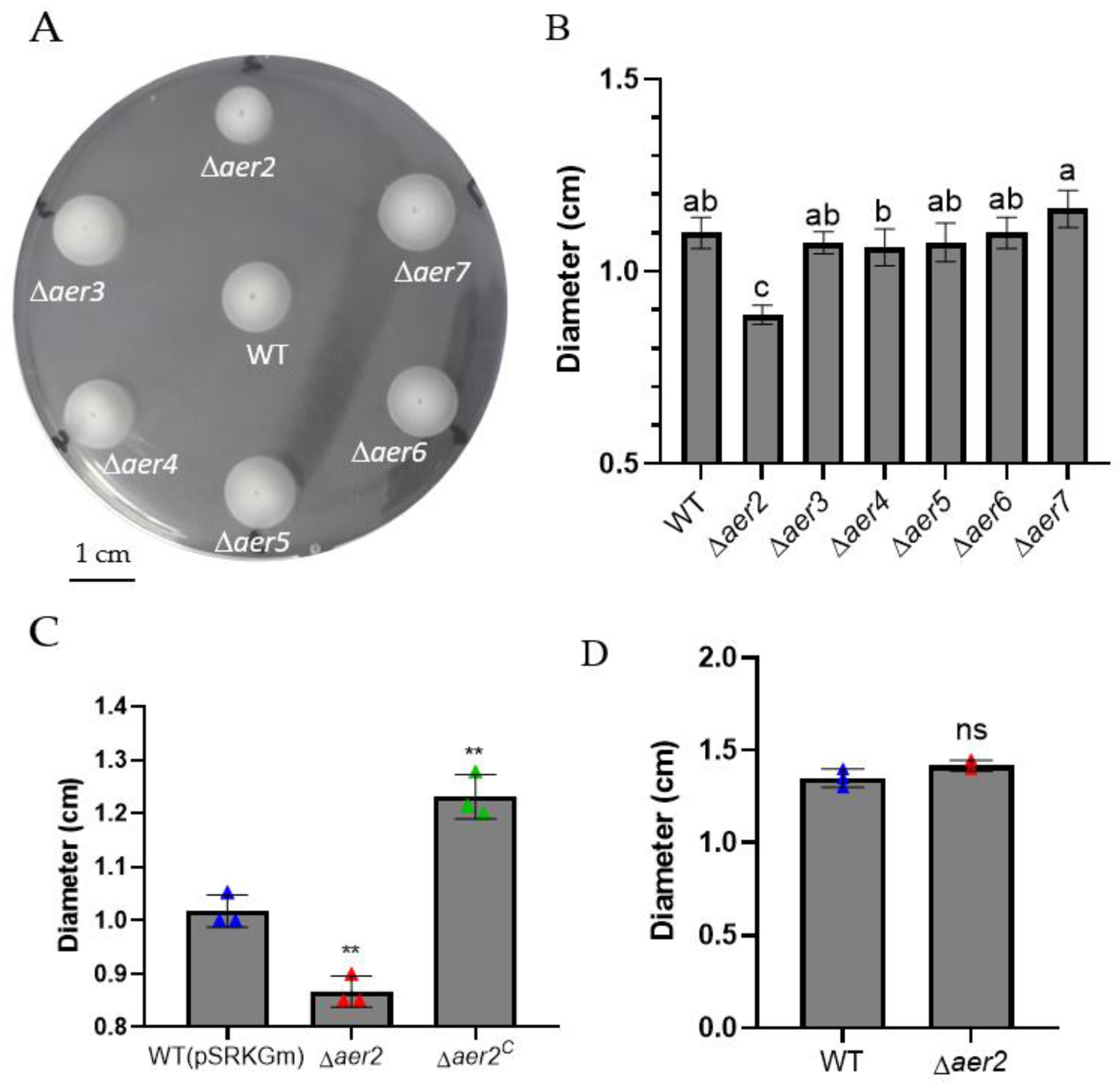 Genes 13 02224 g002 Genes 13 02224 g002