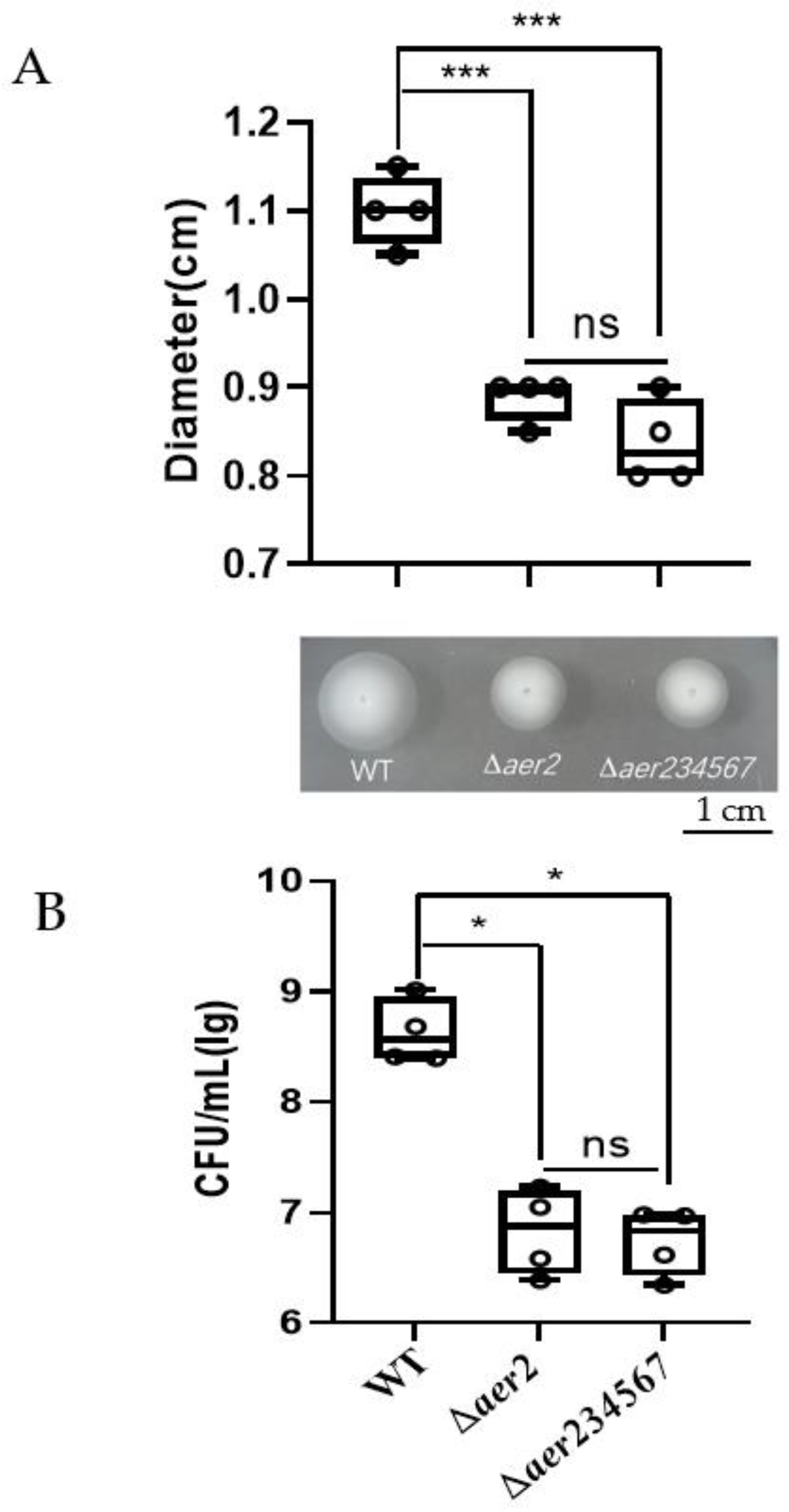 Genes 13 02224 g003 Genes 13 02224 g003