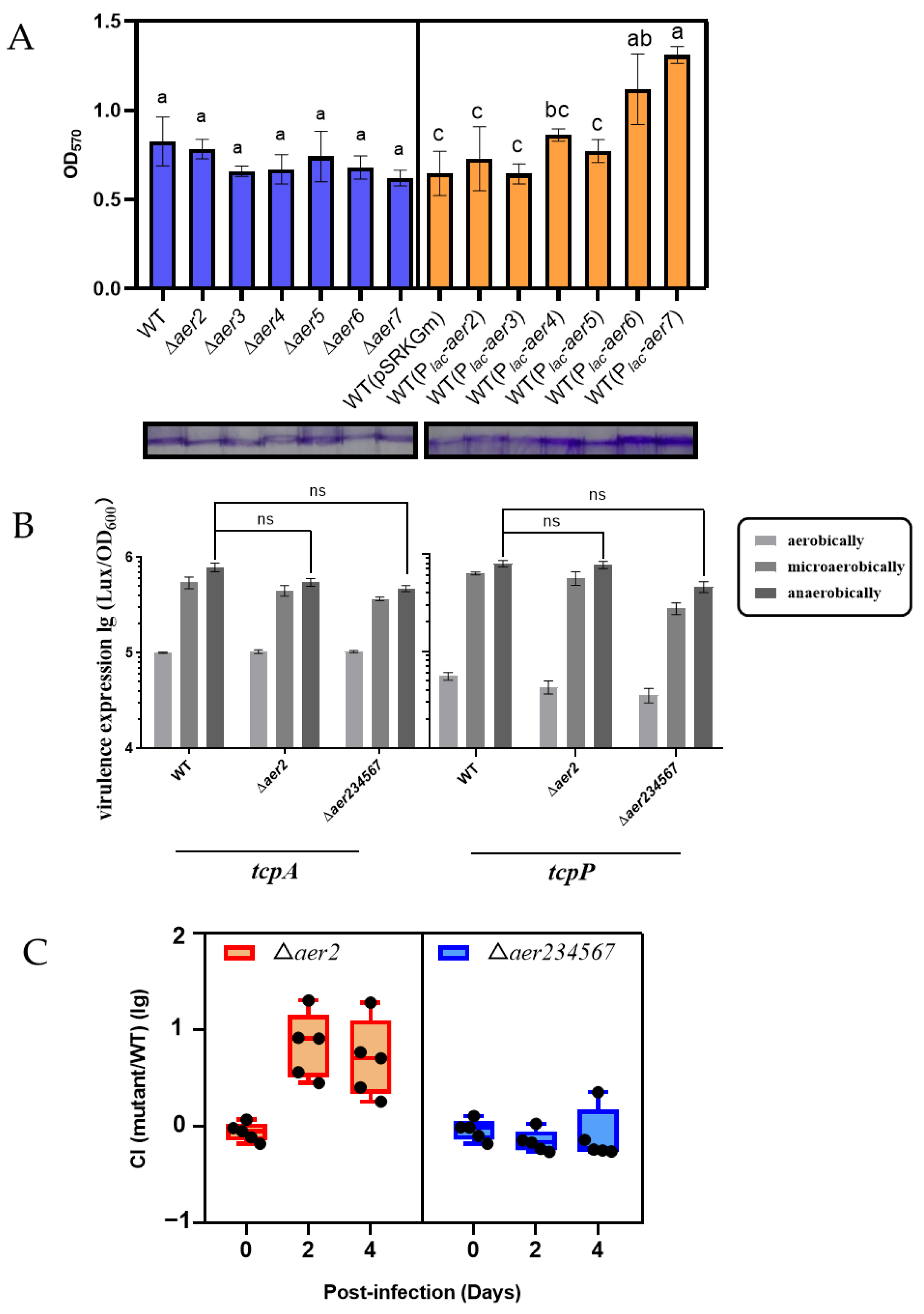 Genes 13 02224 g005 Genes 13 02224 g005