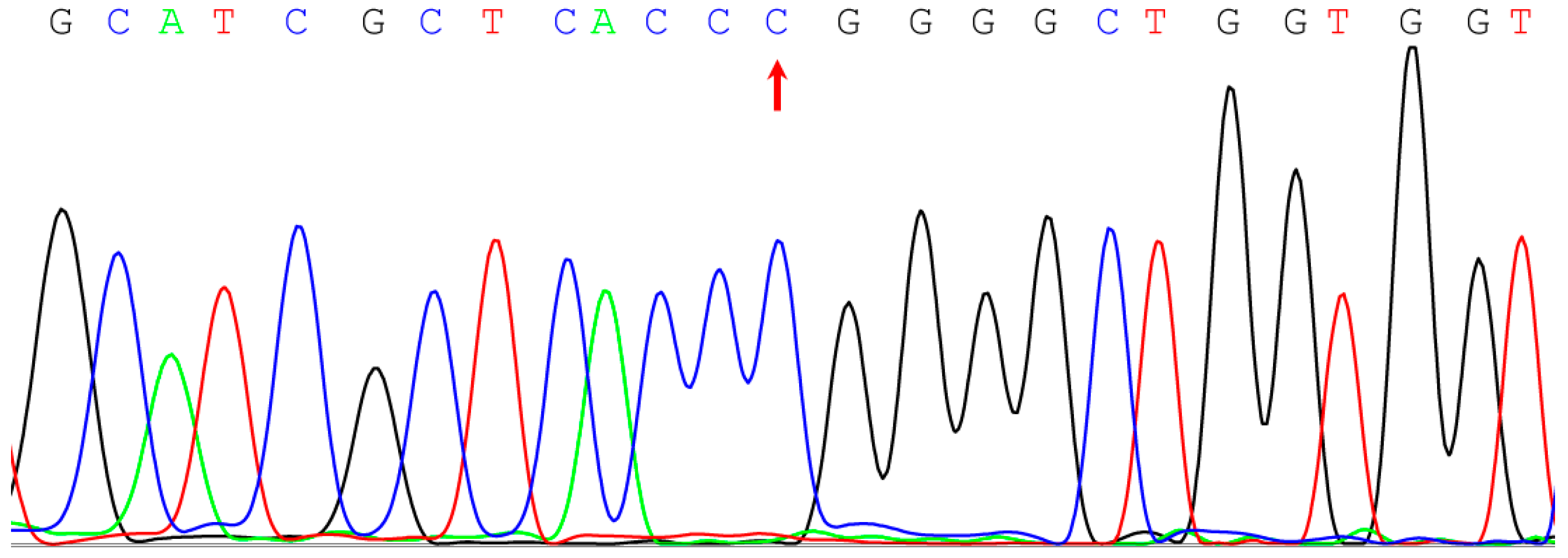 Genes 13 02225 g002 Genes 13 02225 g002
