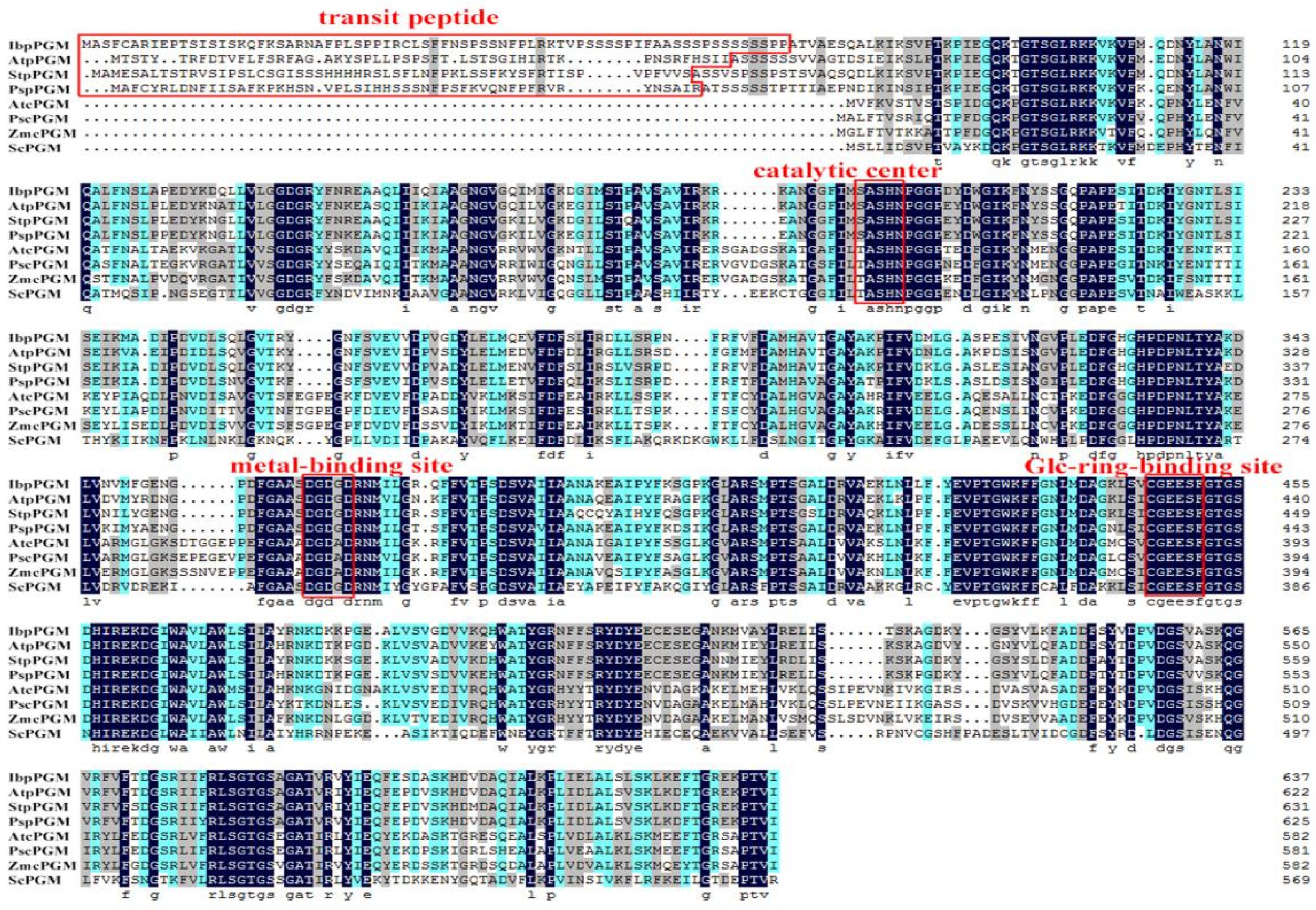 Genes 13 02234 g001 Genes 13 02234 g001