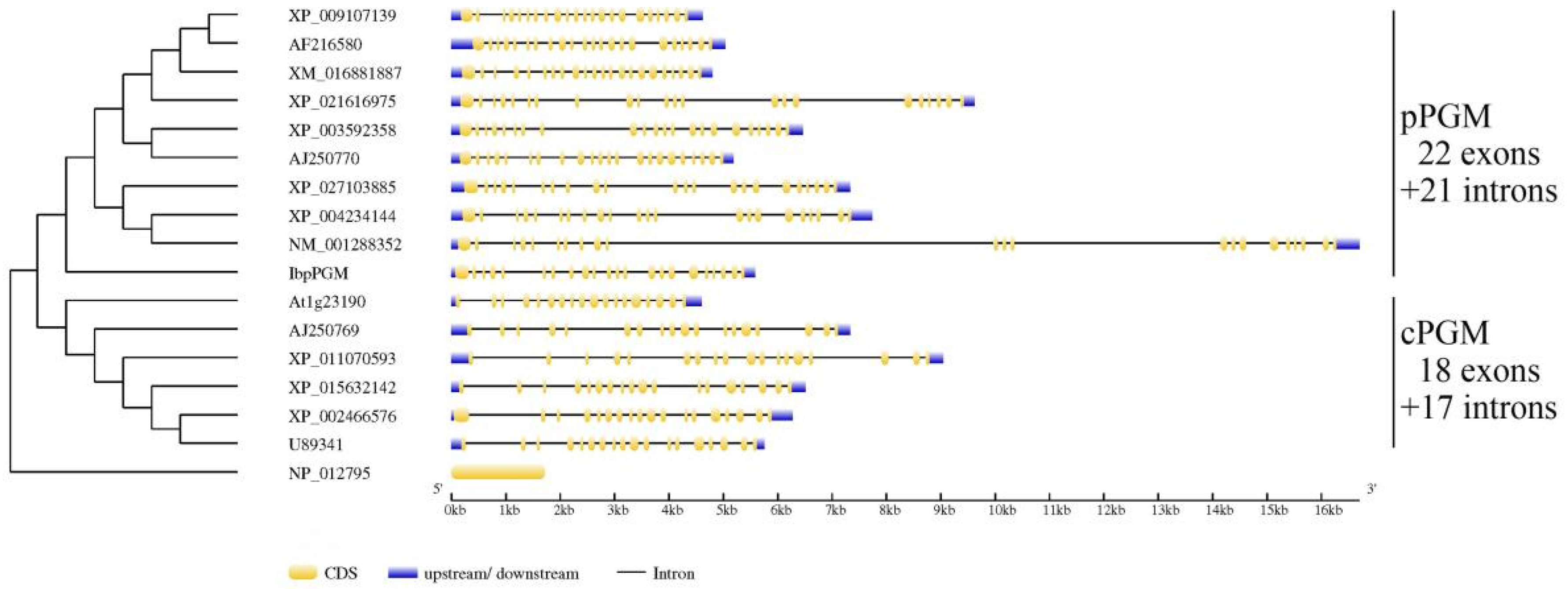 Genes 13 02234 g002 Genes 13 02234 g002