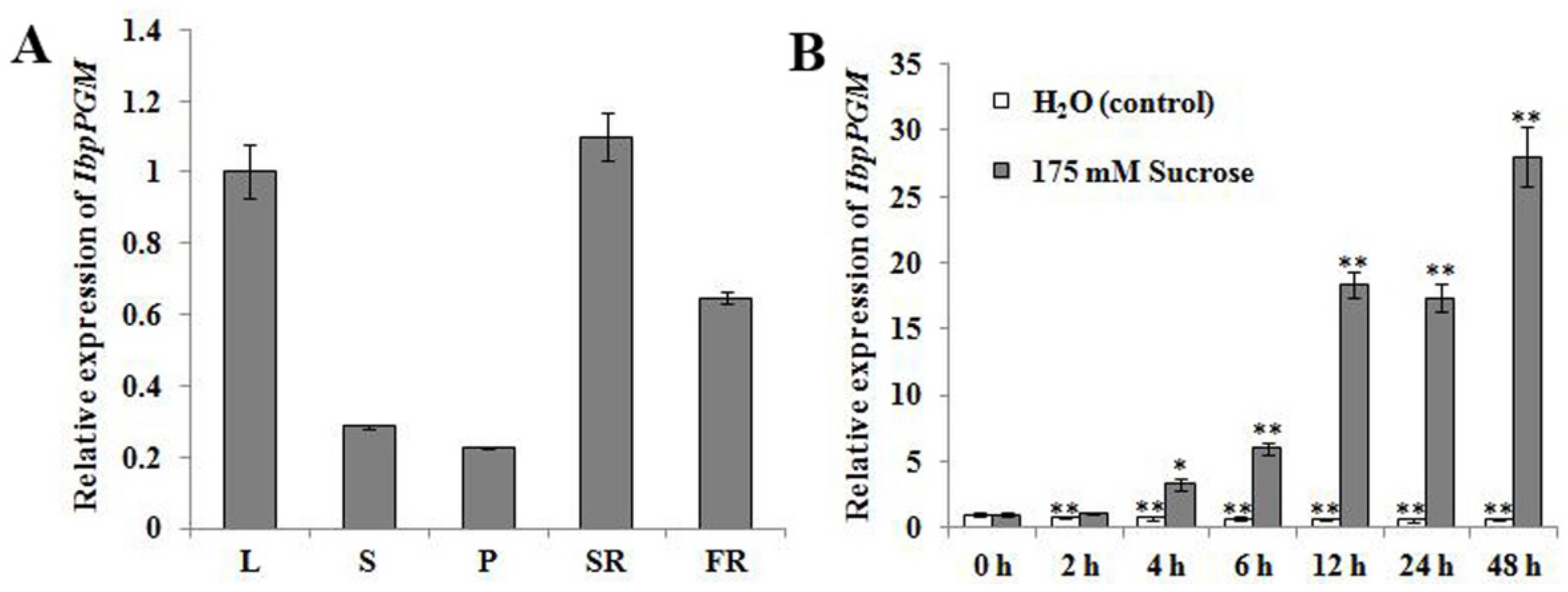 Genes 13 02234 g003 Genes 13 02234 g003