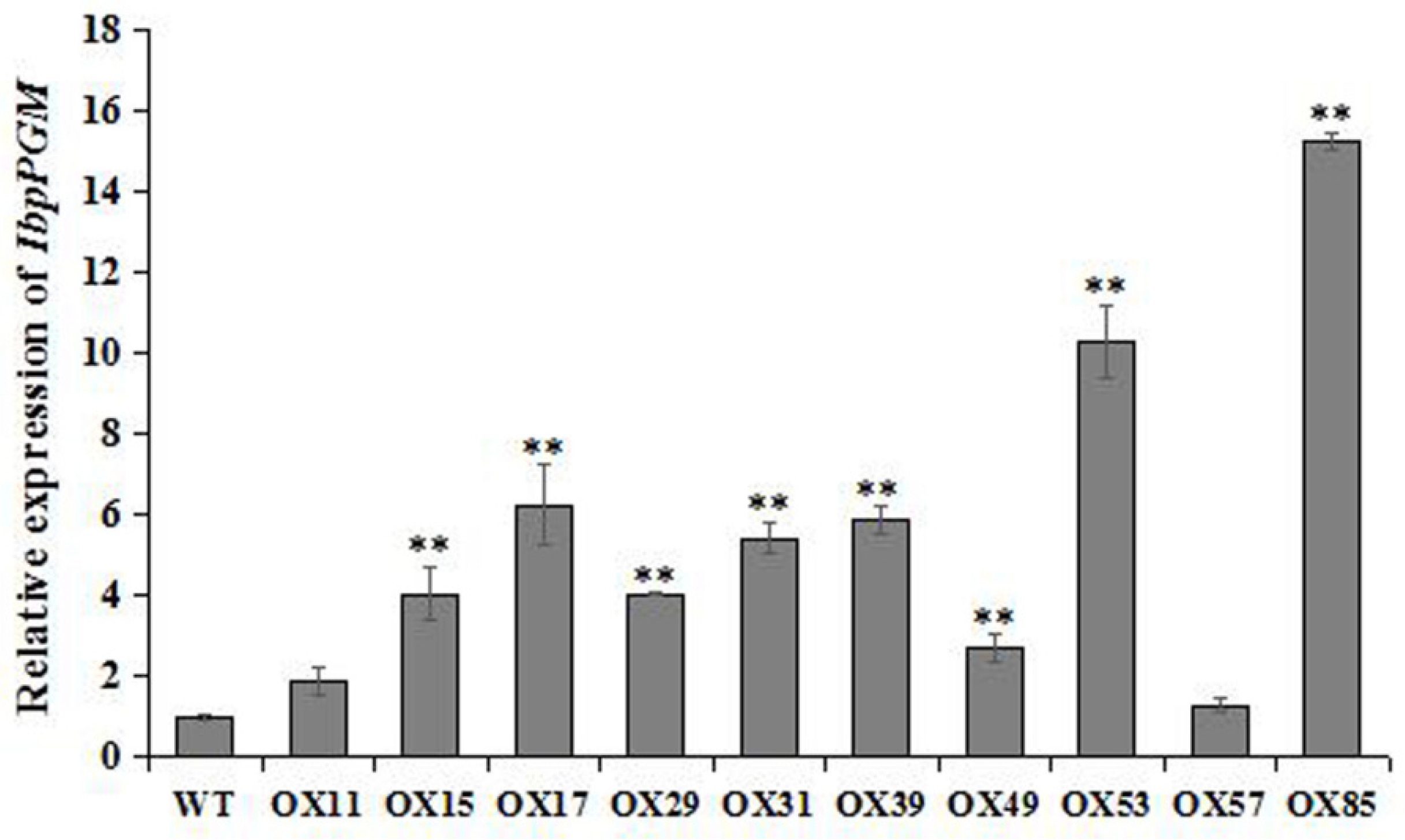 Genes 13 02234 g006 Genes 13 02234 g006