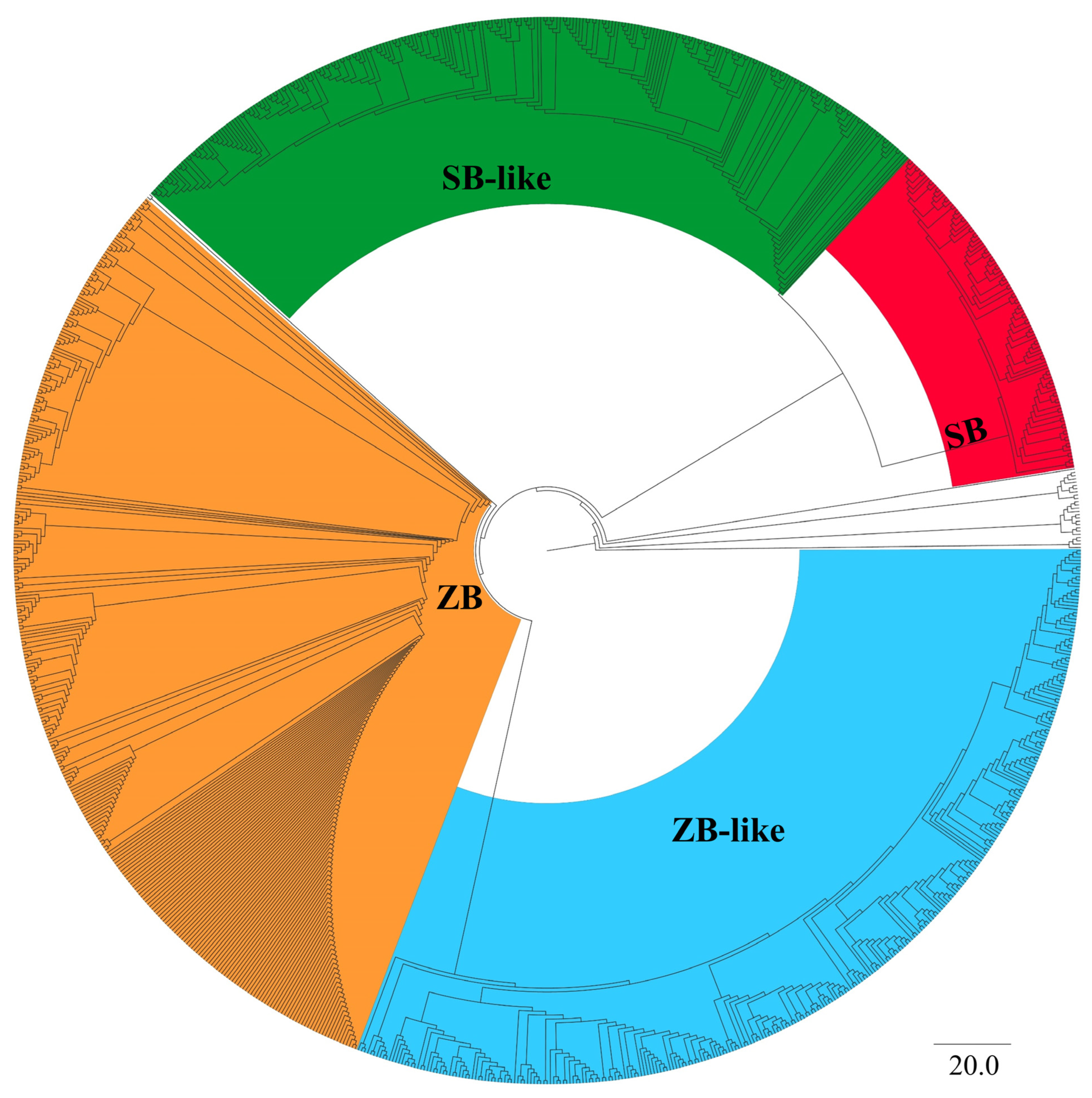 Genes 13 02239 g001 Genes 13 02239 g001