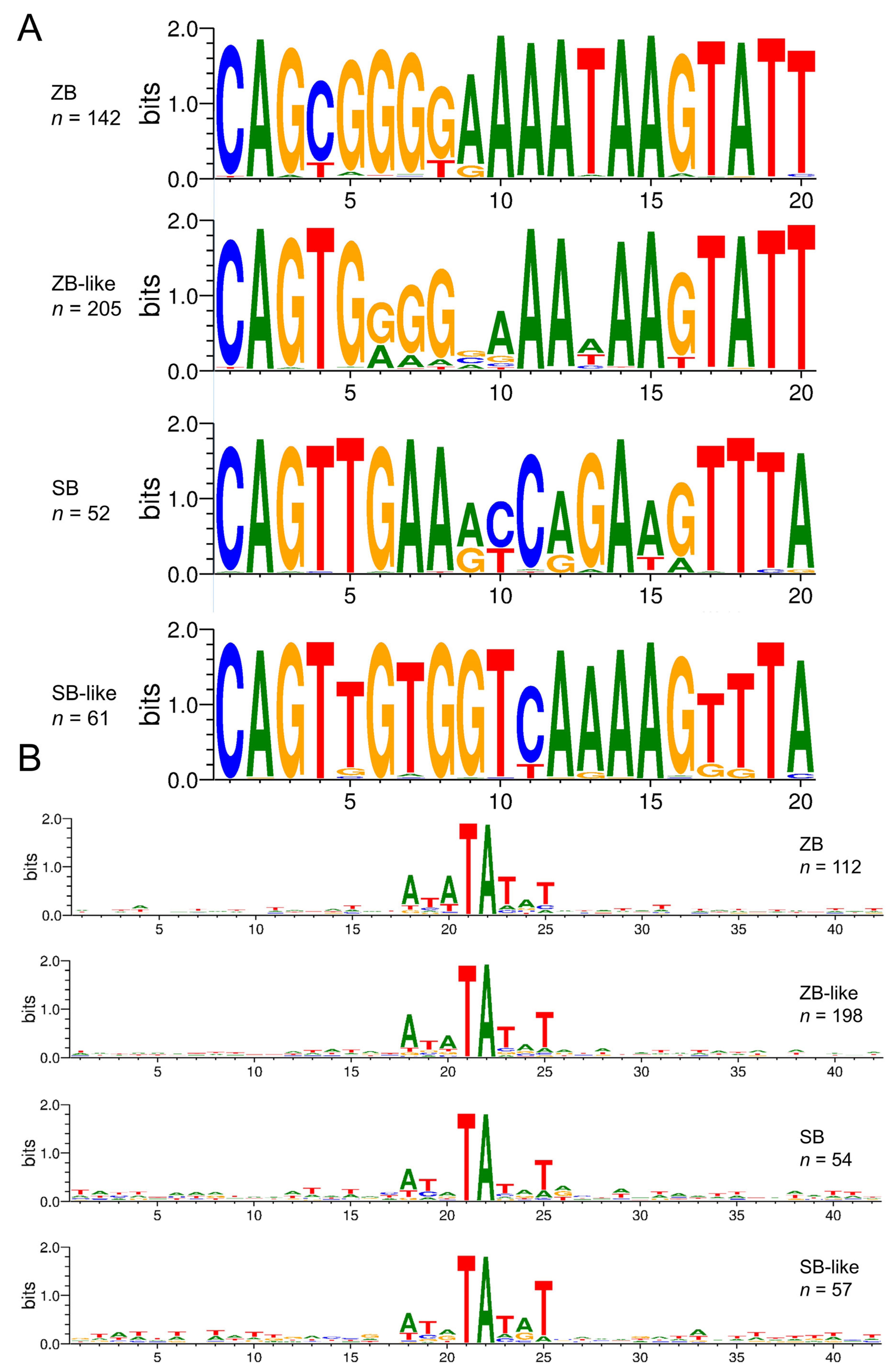 Genes 13 02239 g005 Genes 13 02239 g005