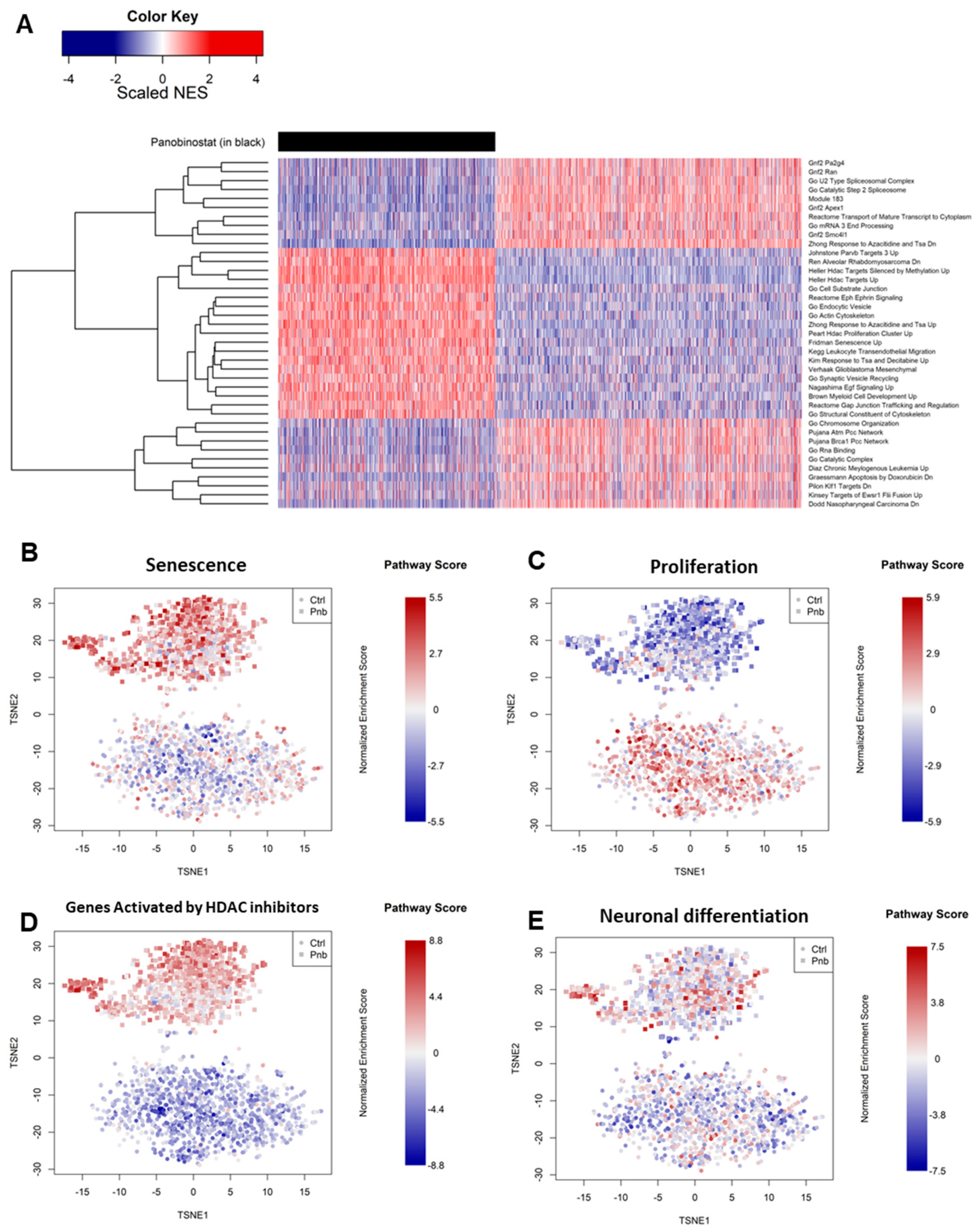 Genes 13 02240 g003