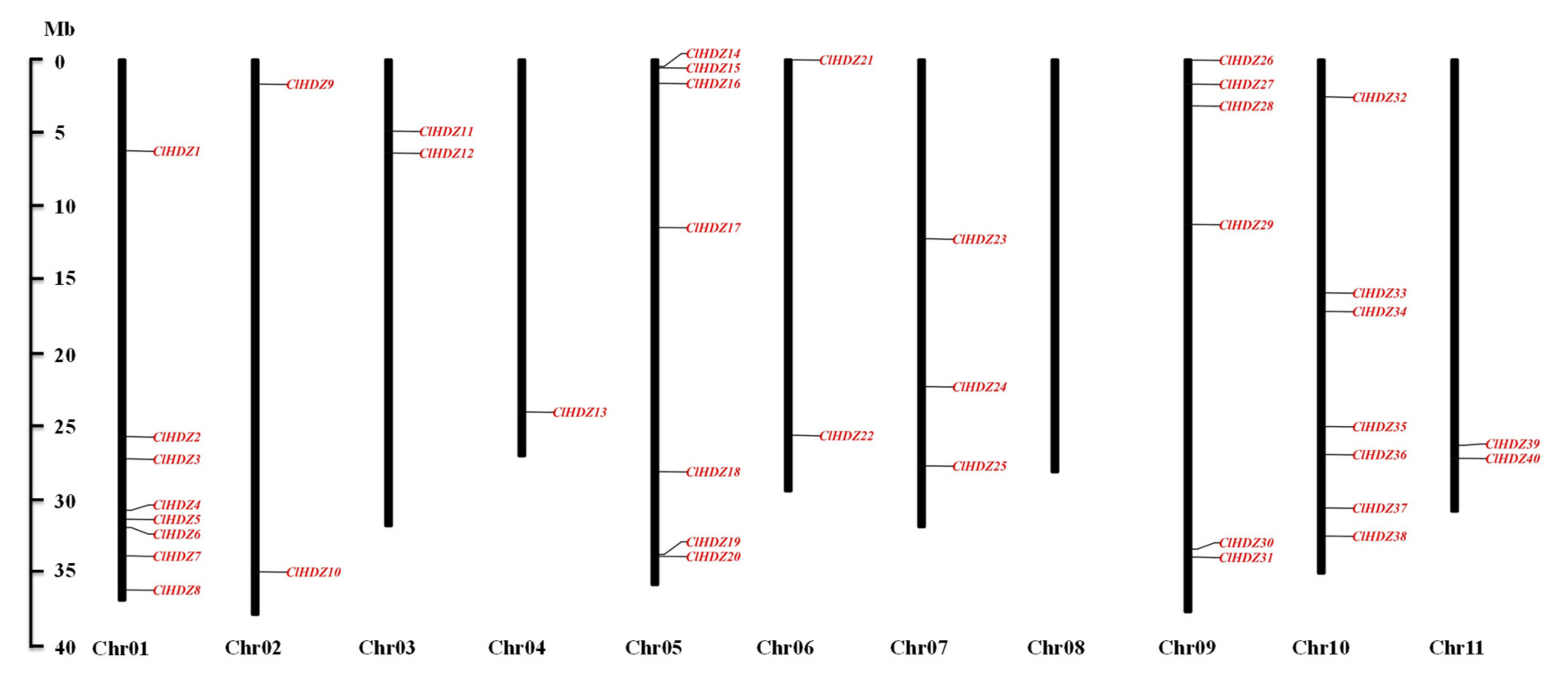 Genes 13 02242 g001 Genes 13 02242 g001