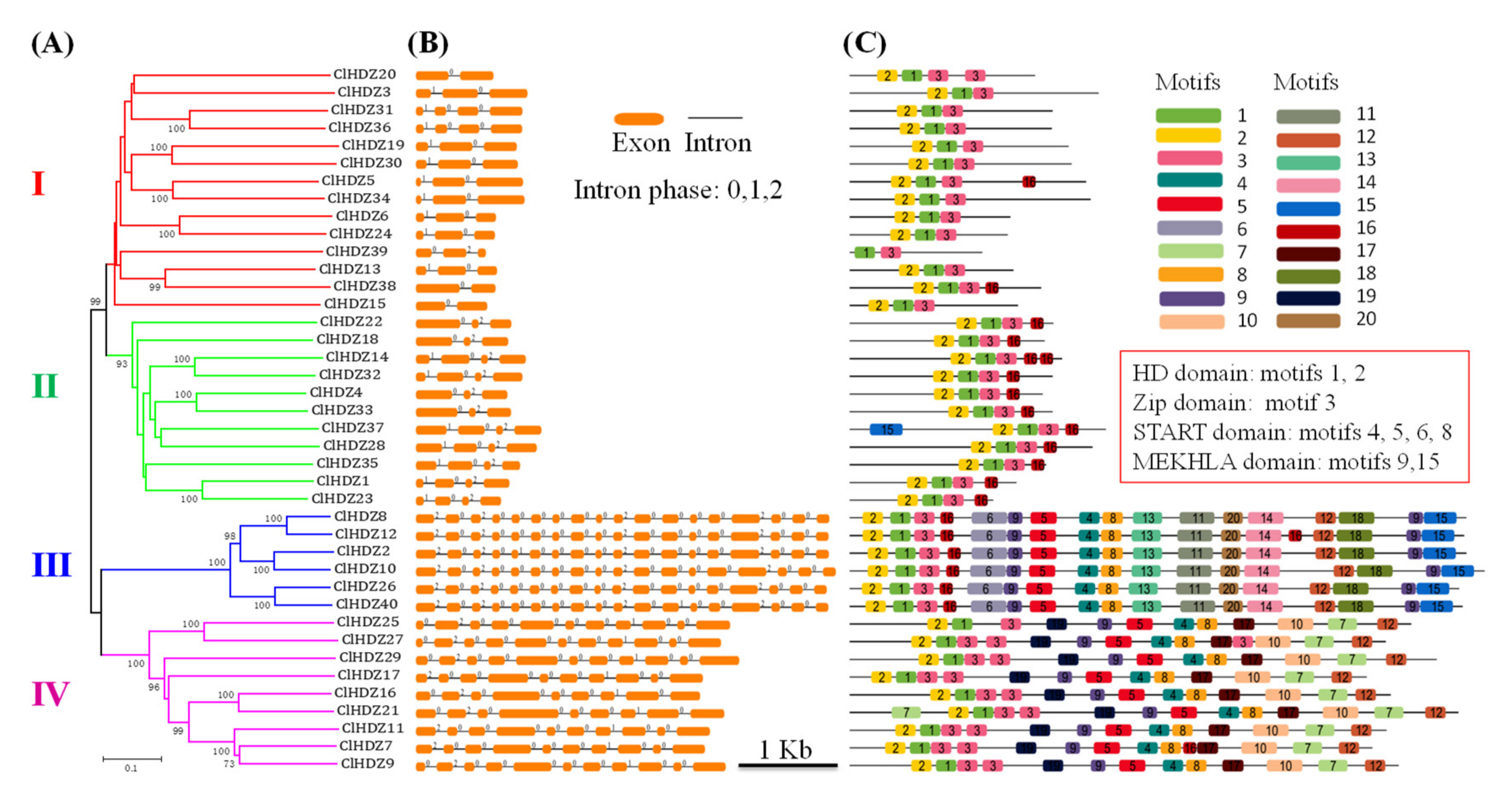 Genes 13 02242 g002 Genes 13 02242 g002