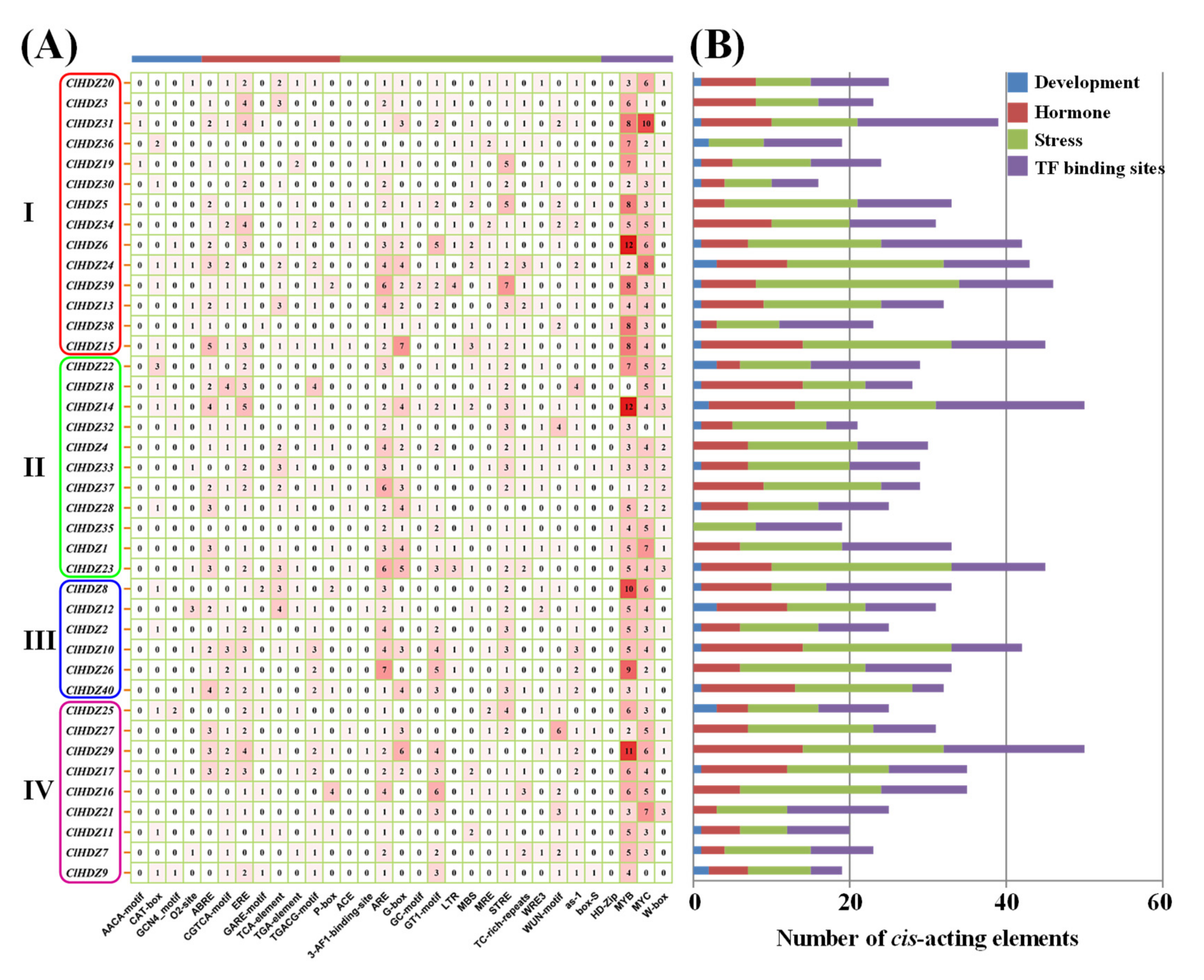 Genes 13 02242 g004 Genes 13 02242 g004