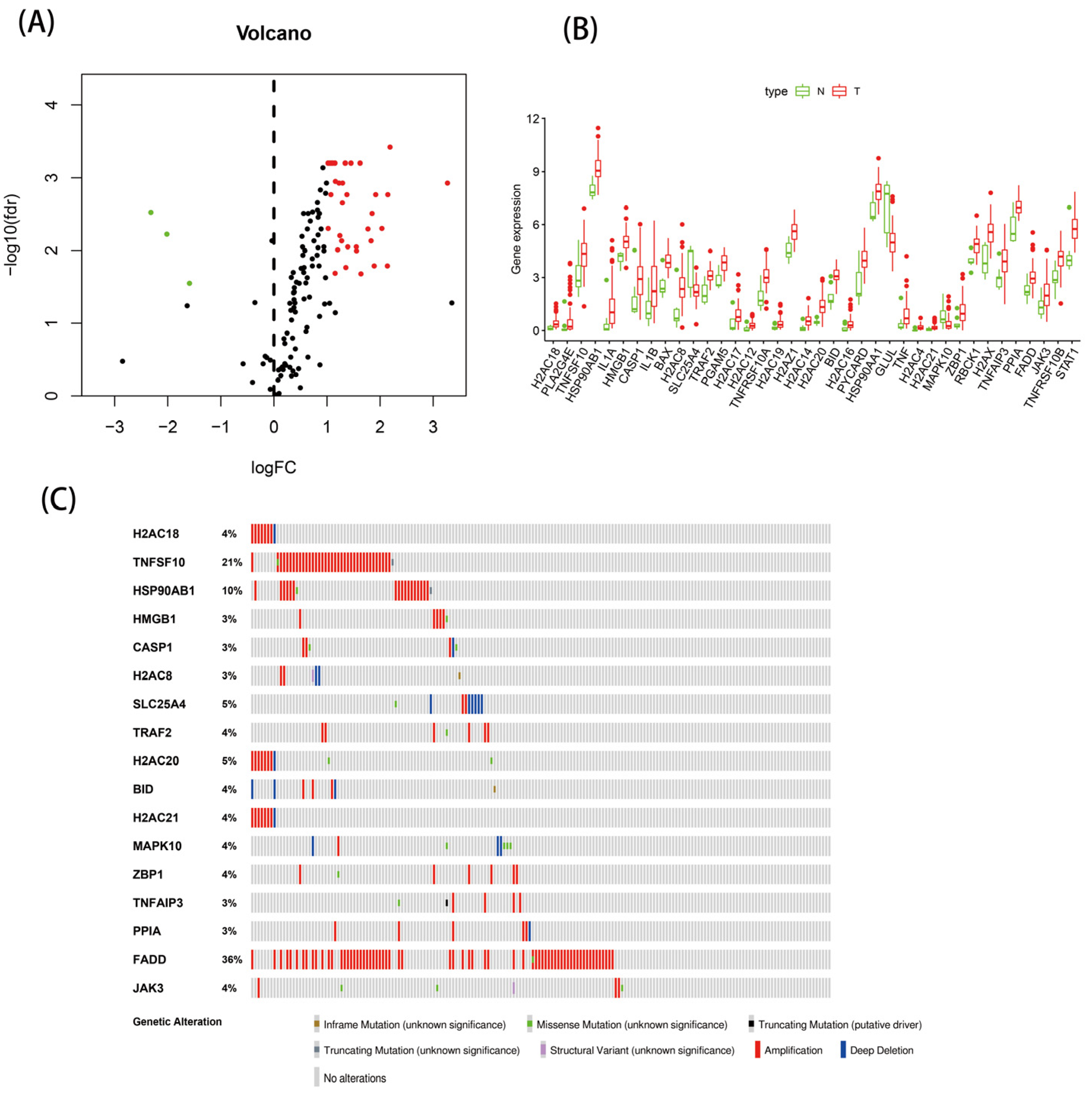 Genes 13 02243 g001 Genes 13 02243 g001
