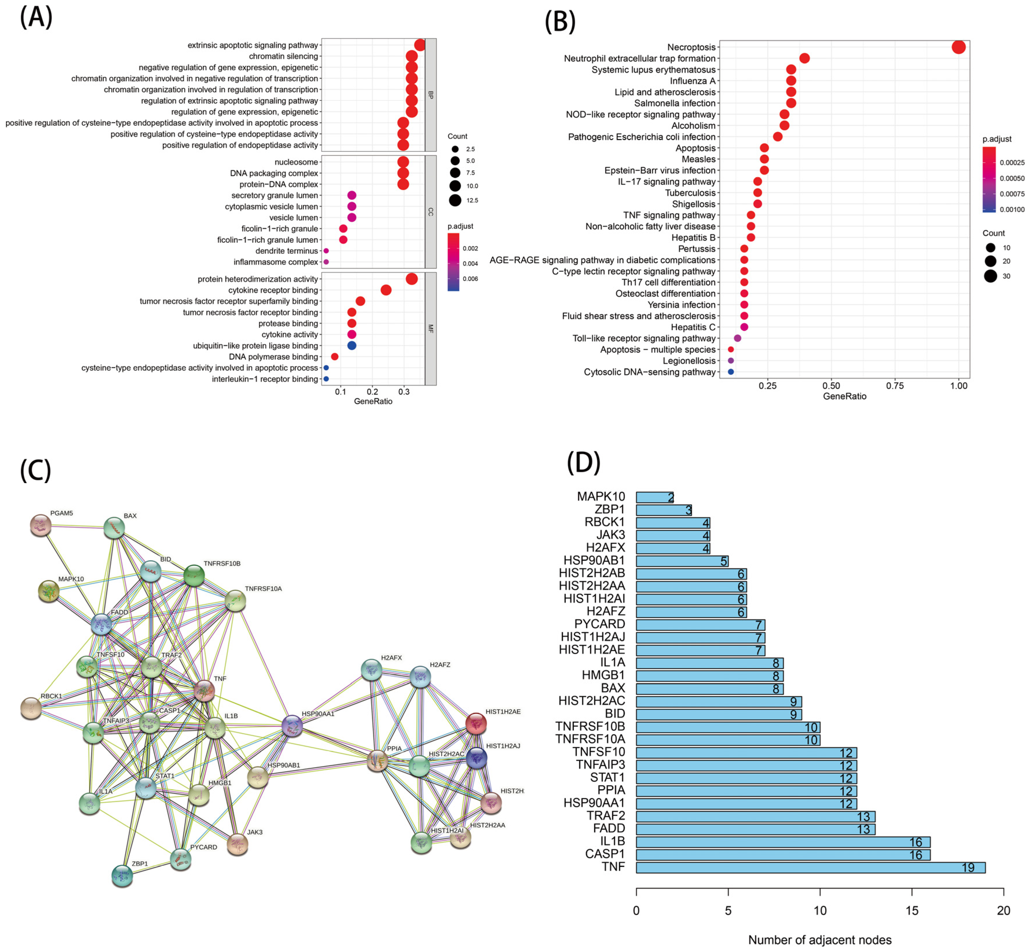Genes 13 02243 g002 Genes 13 02243 g002
