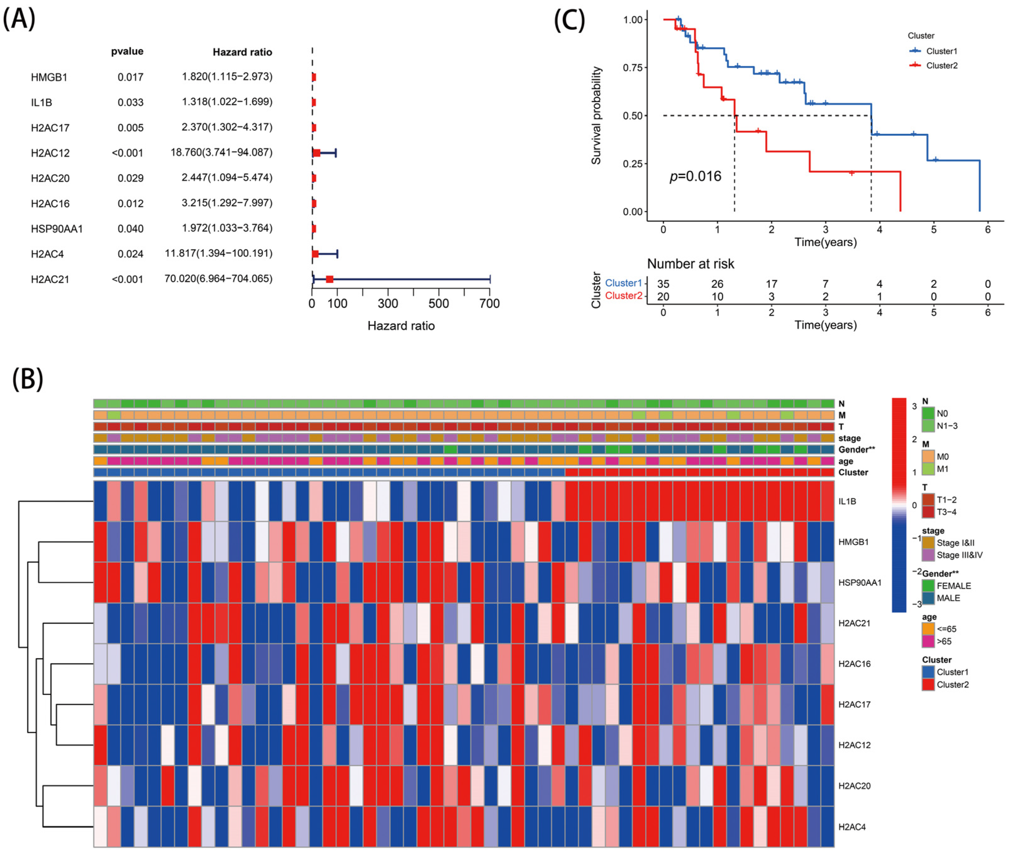 Genes 13 02243 g003 Genes 13 02243 g003
