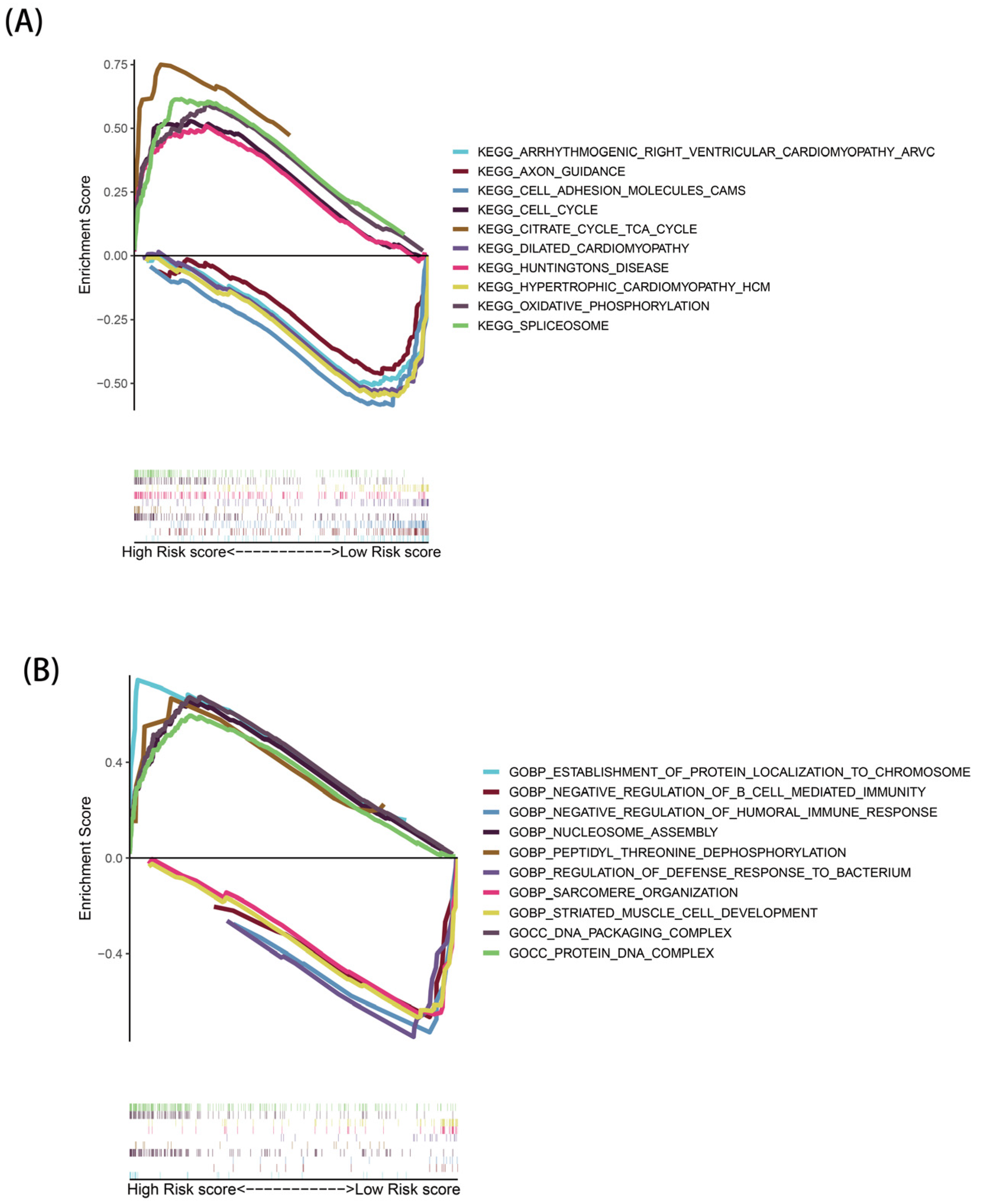 Genes 13 02243 g007 Genes 13 02243 g007