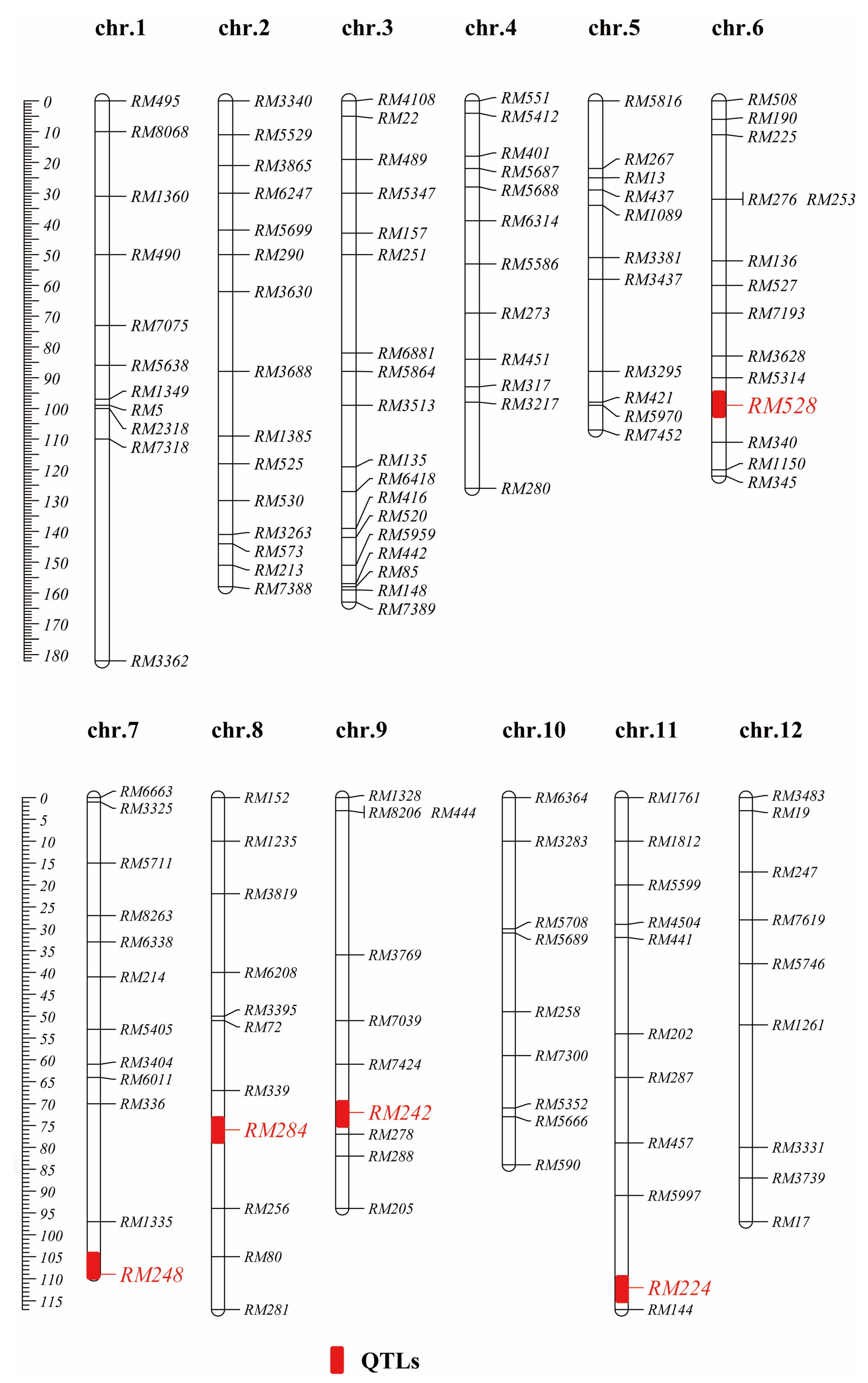 Genes 13 02248 g001 Genes 13 02248 g001