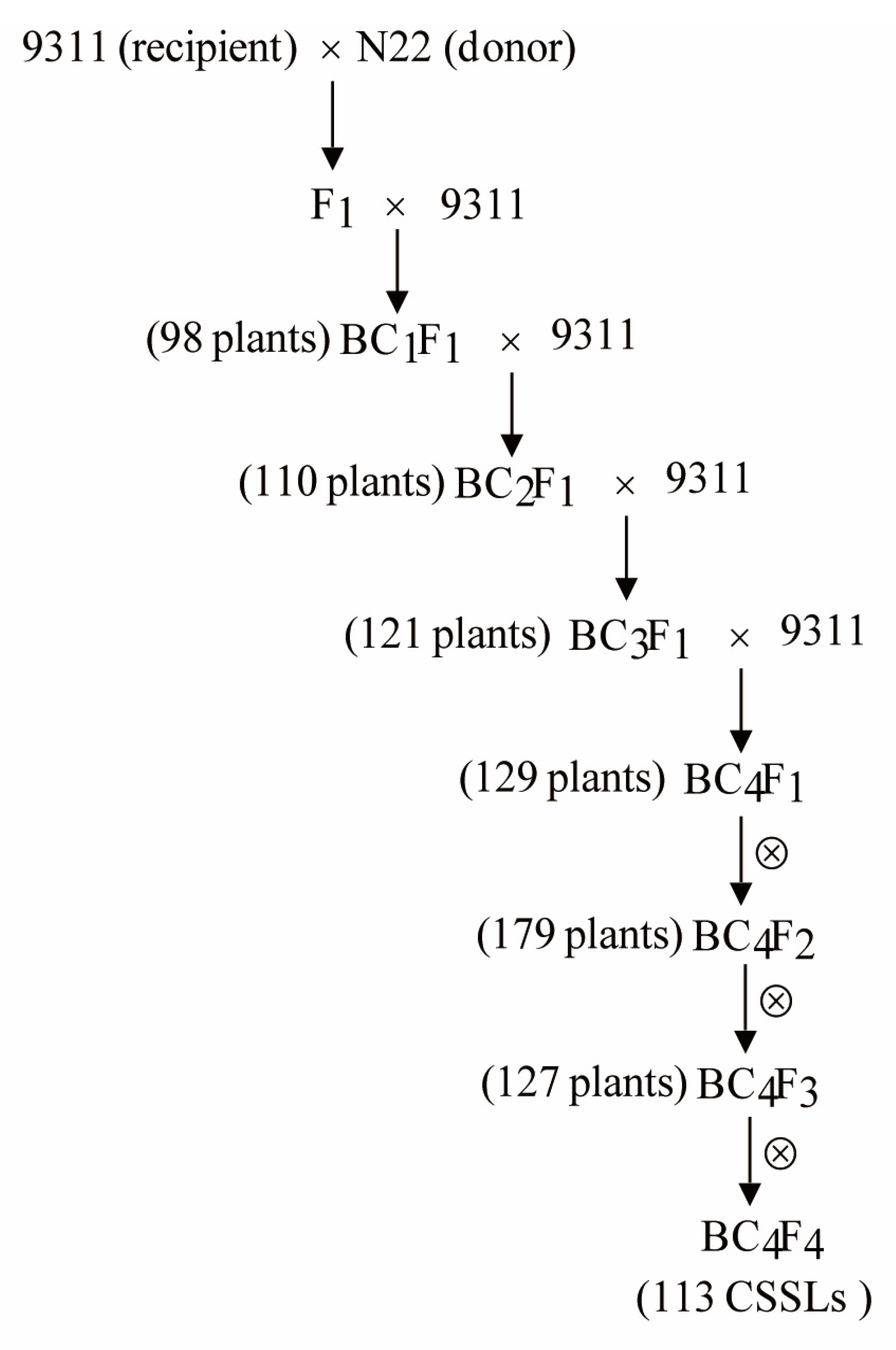 Genes 13 02248 g002 Genes 13 02248 g002