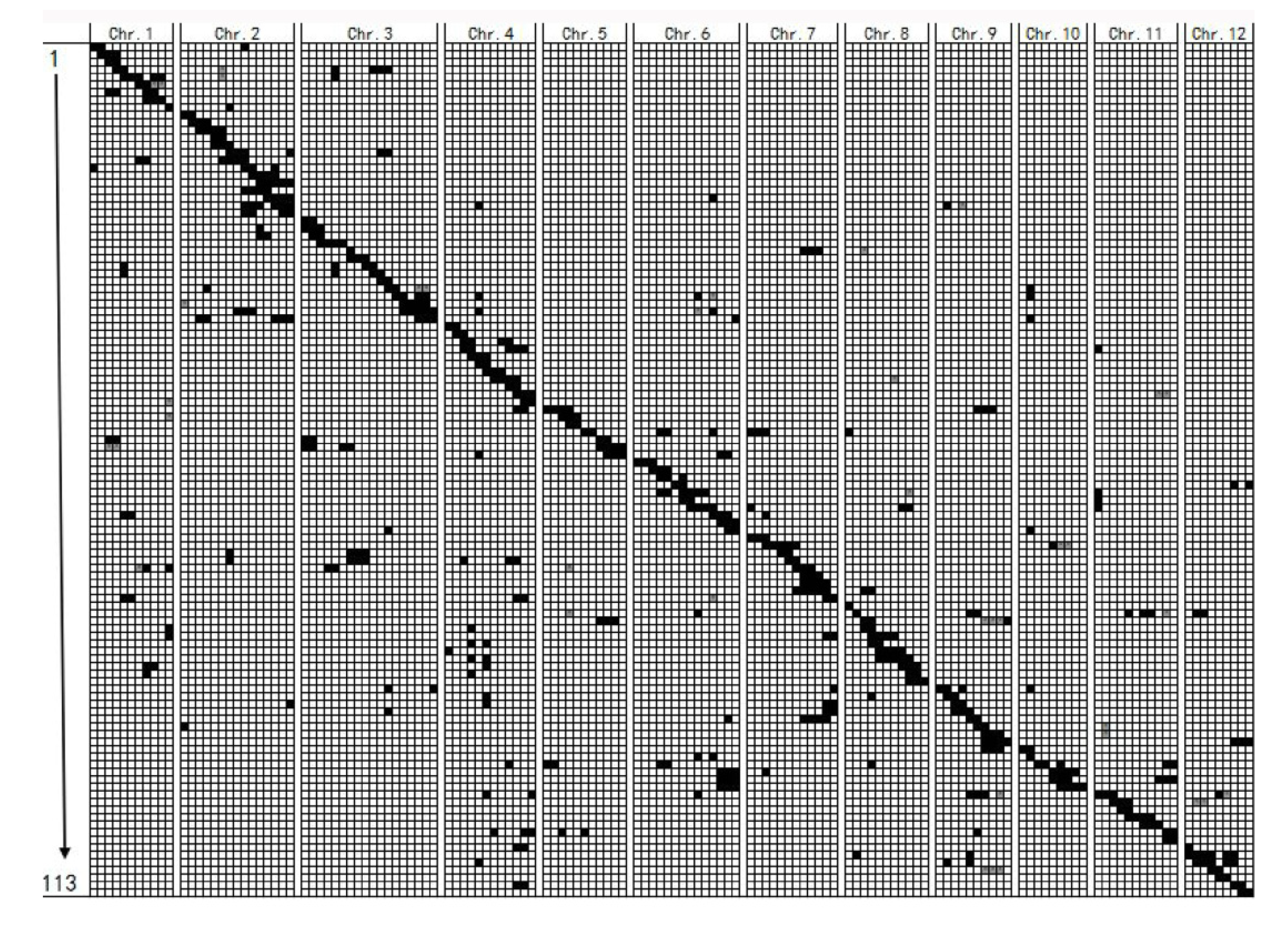 Genes 13 02248 g003 Genes 13 02248 g003