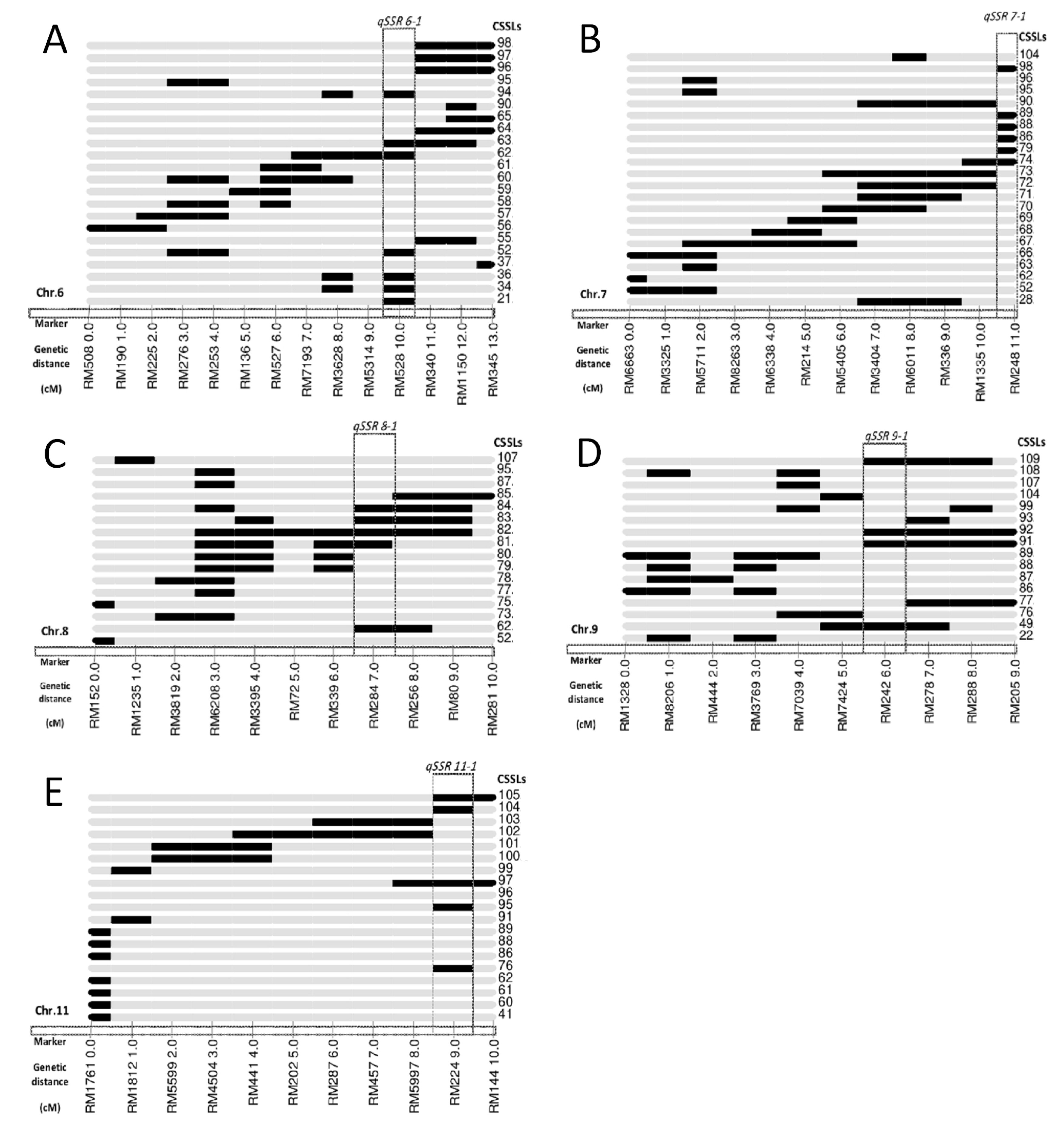 Genes 13 02248 g004 Genes 13 02248 g004