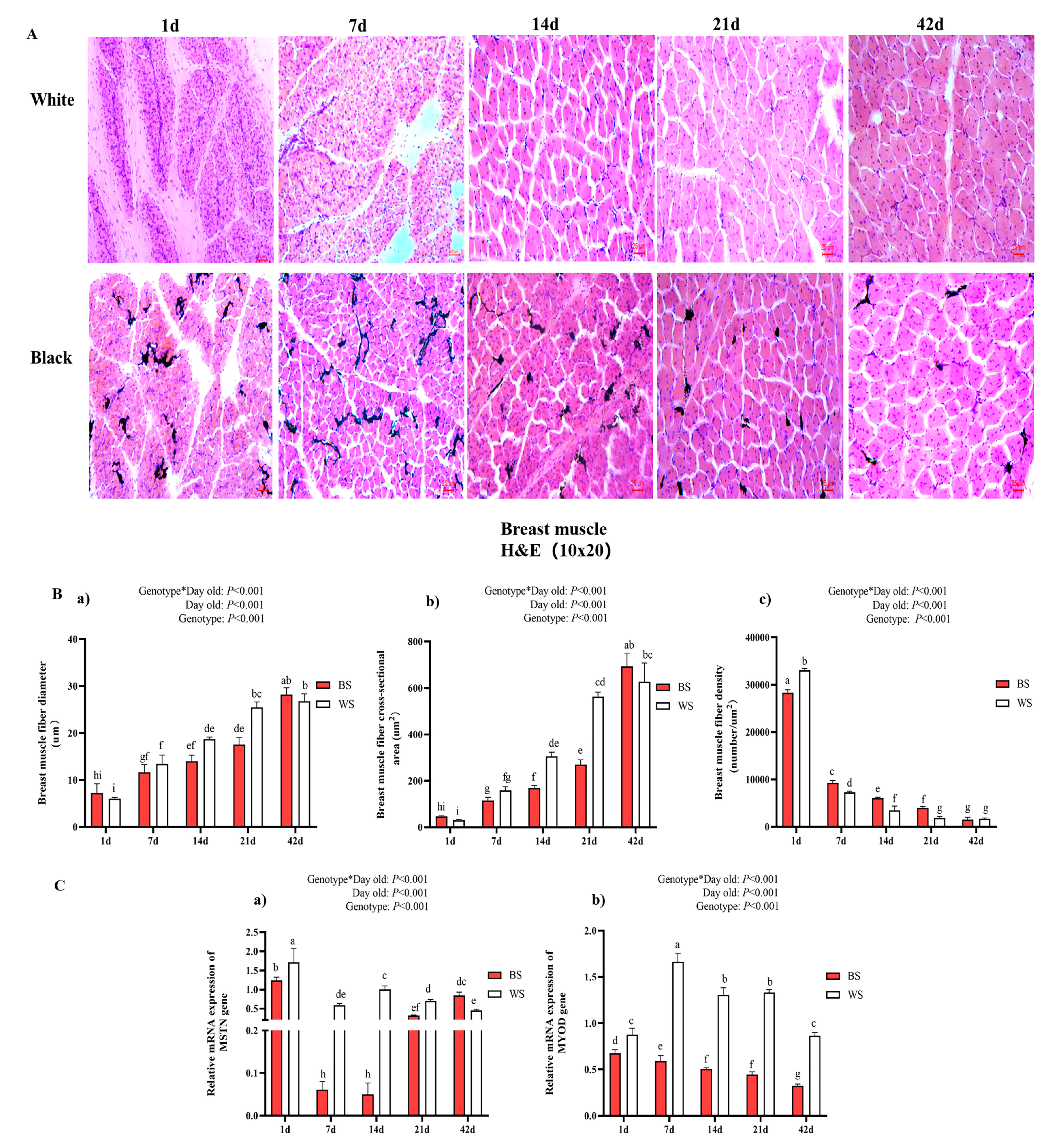 Genes 13 02253 g002 Genes 13 02253 g002