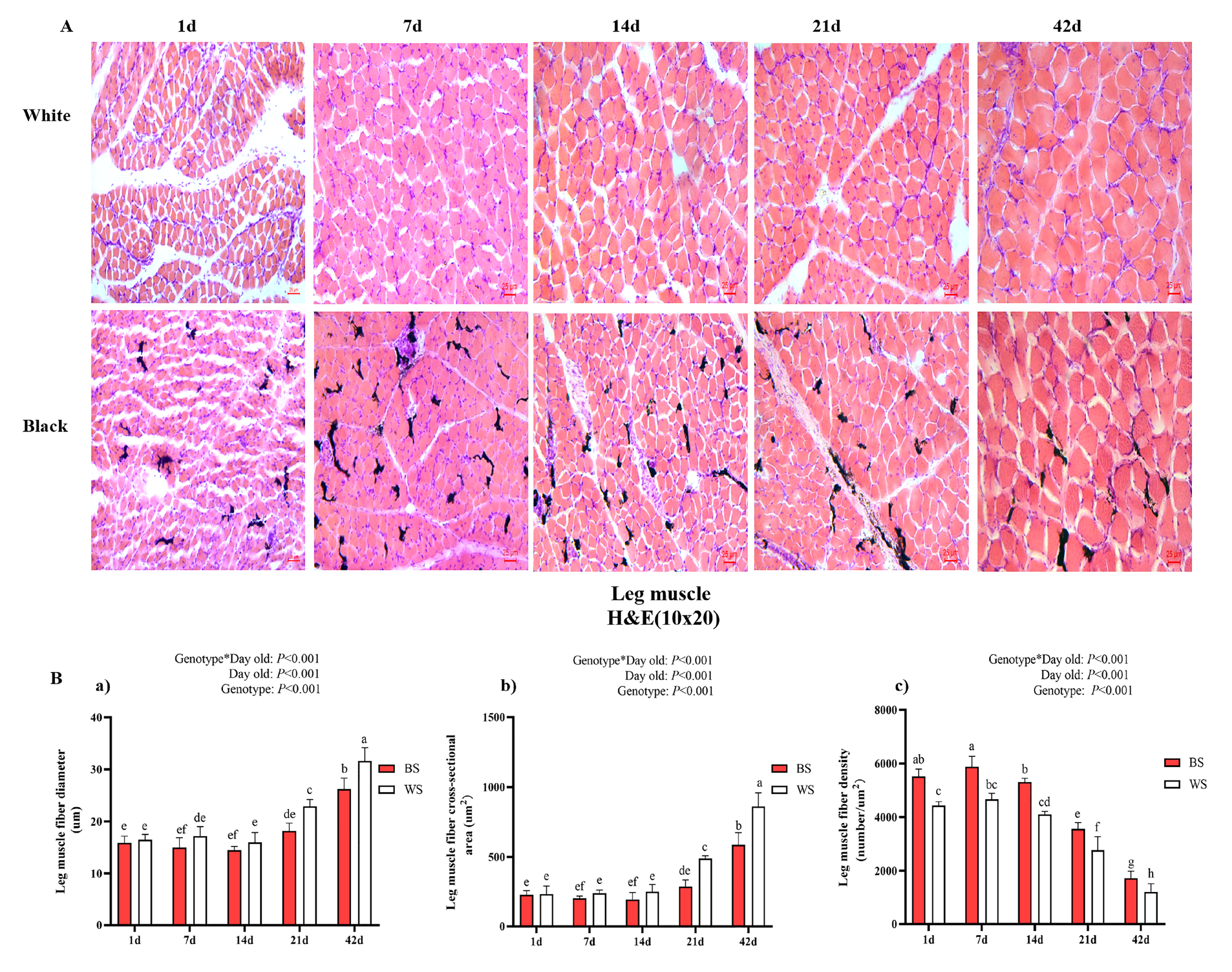 Genes 13 02253 g003a Genes 13 02253 g003a