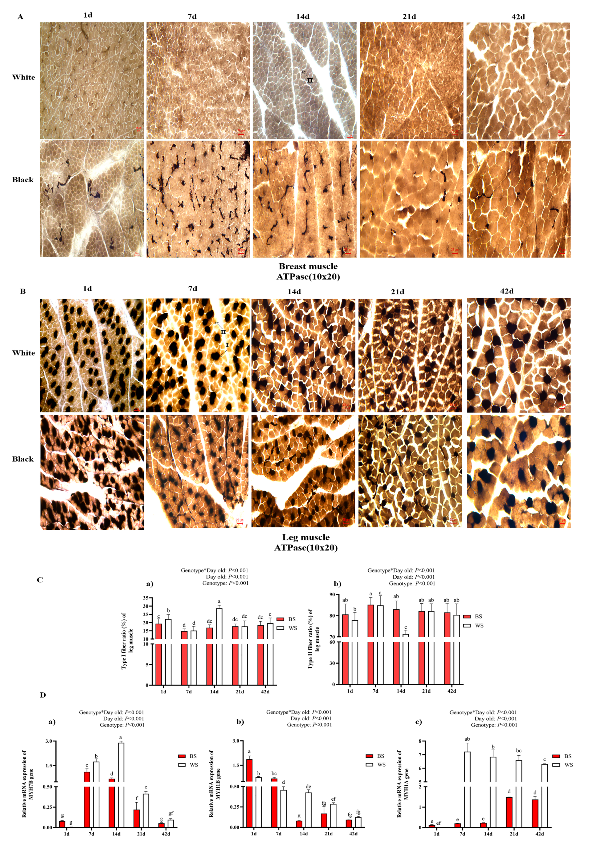 Genes 13 02253 g004 Genes 13 02253 g004