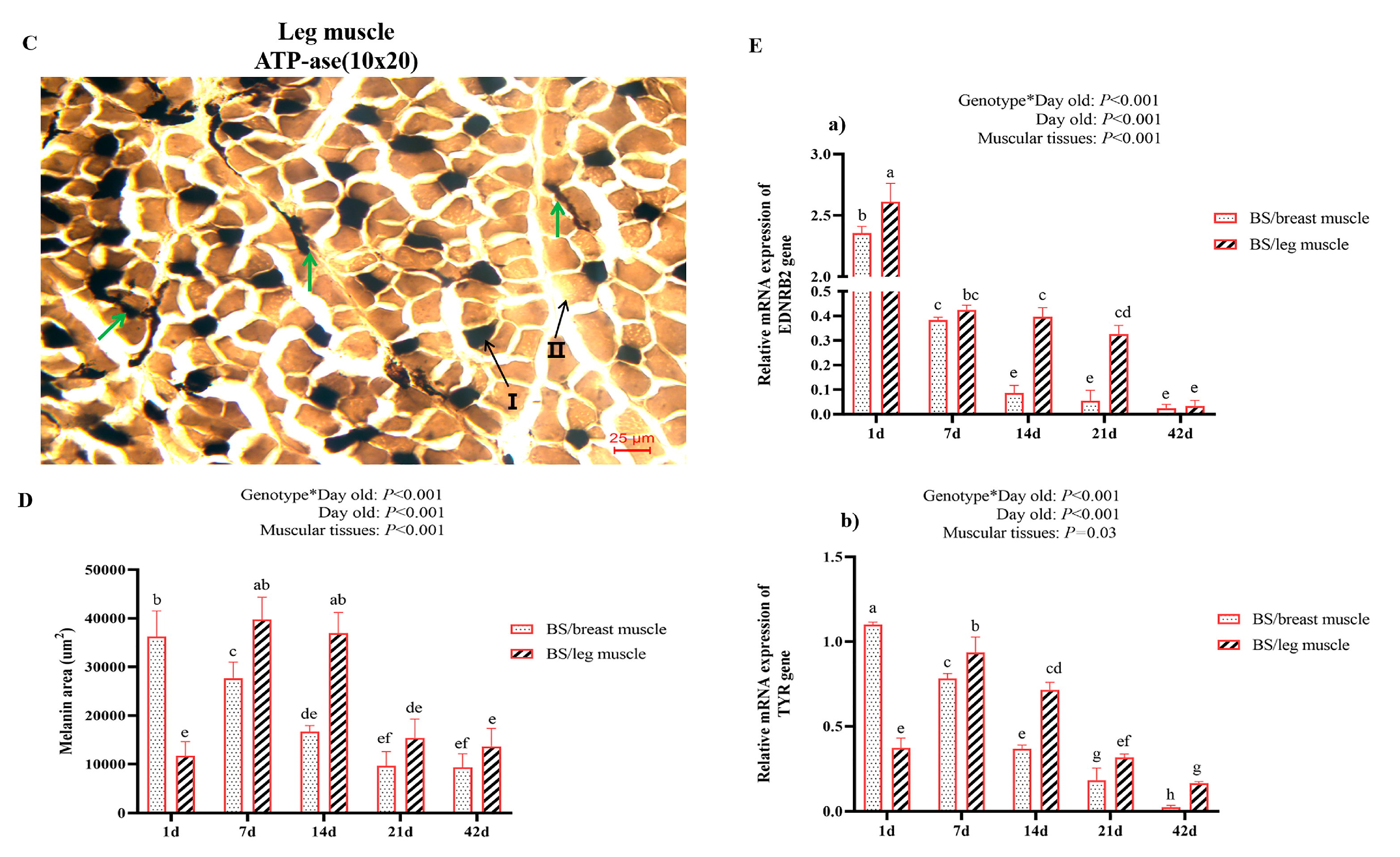 Genes 13 02253 g005b Genes 13 02253 g005b