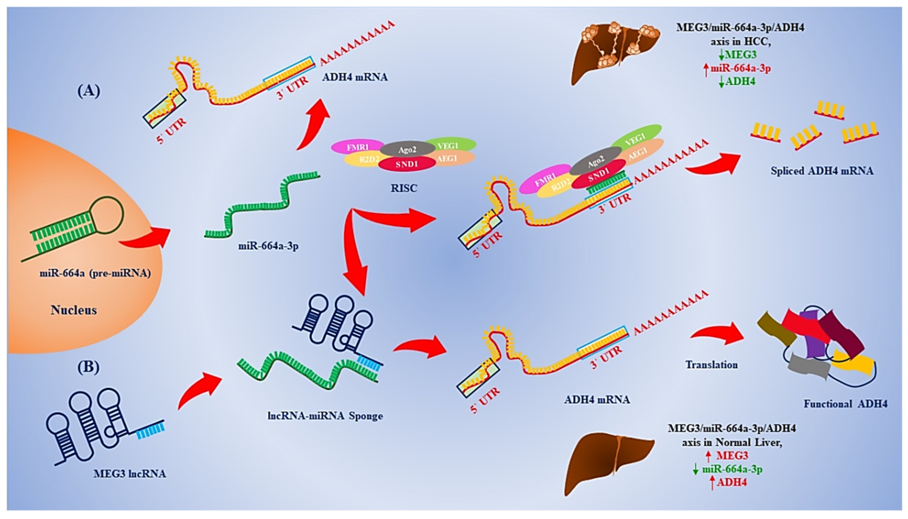 Genes 13 02254 g006 Genes 13 02254 g006
