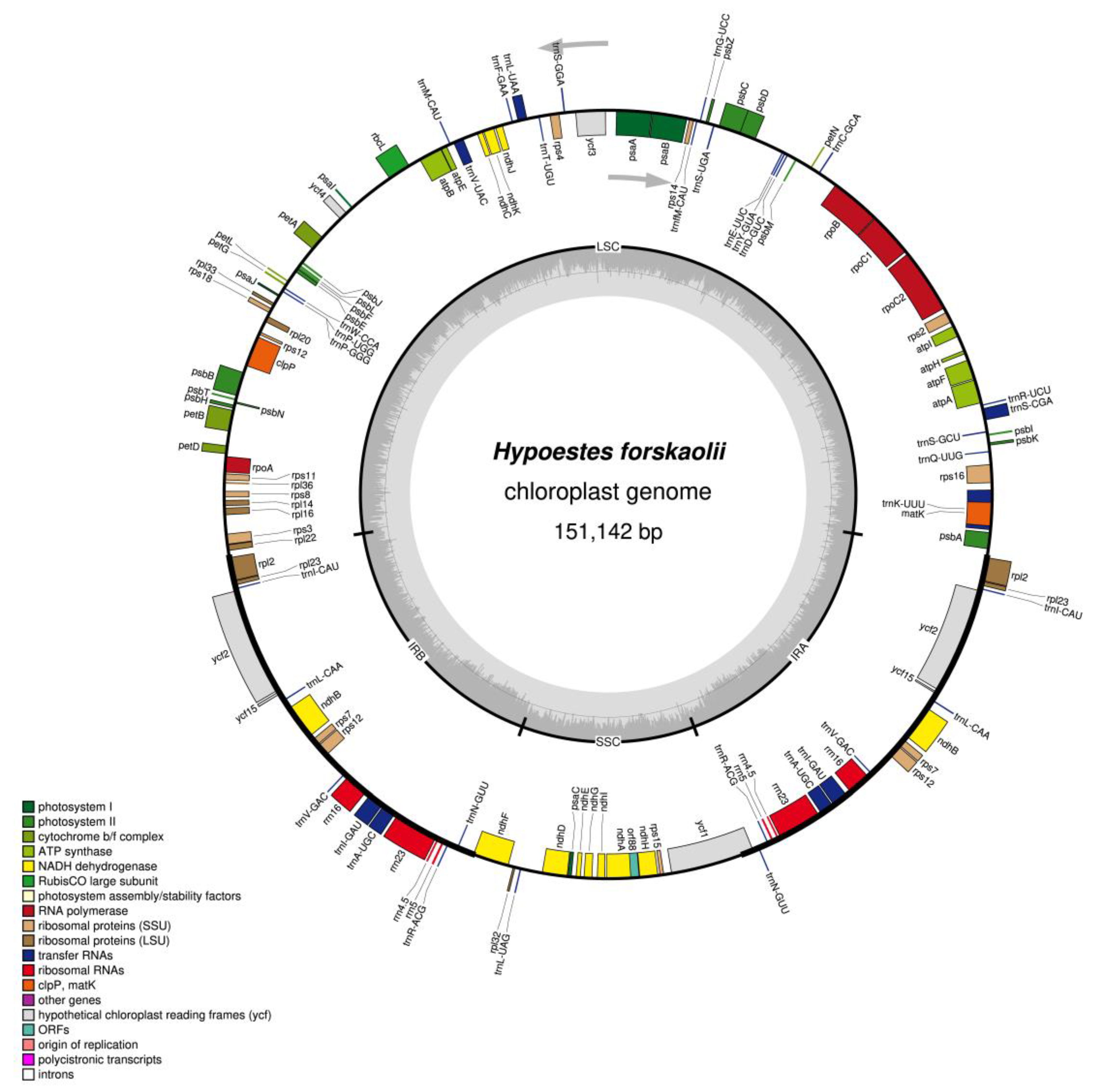 Genes 13 02259 g001 Genes 13 02259 g001