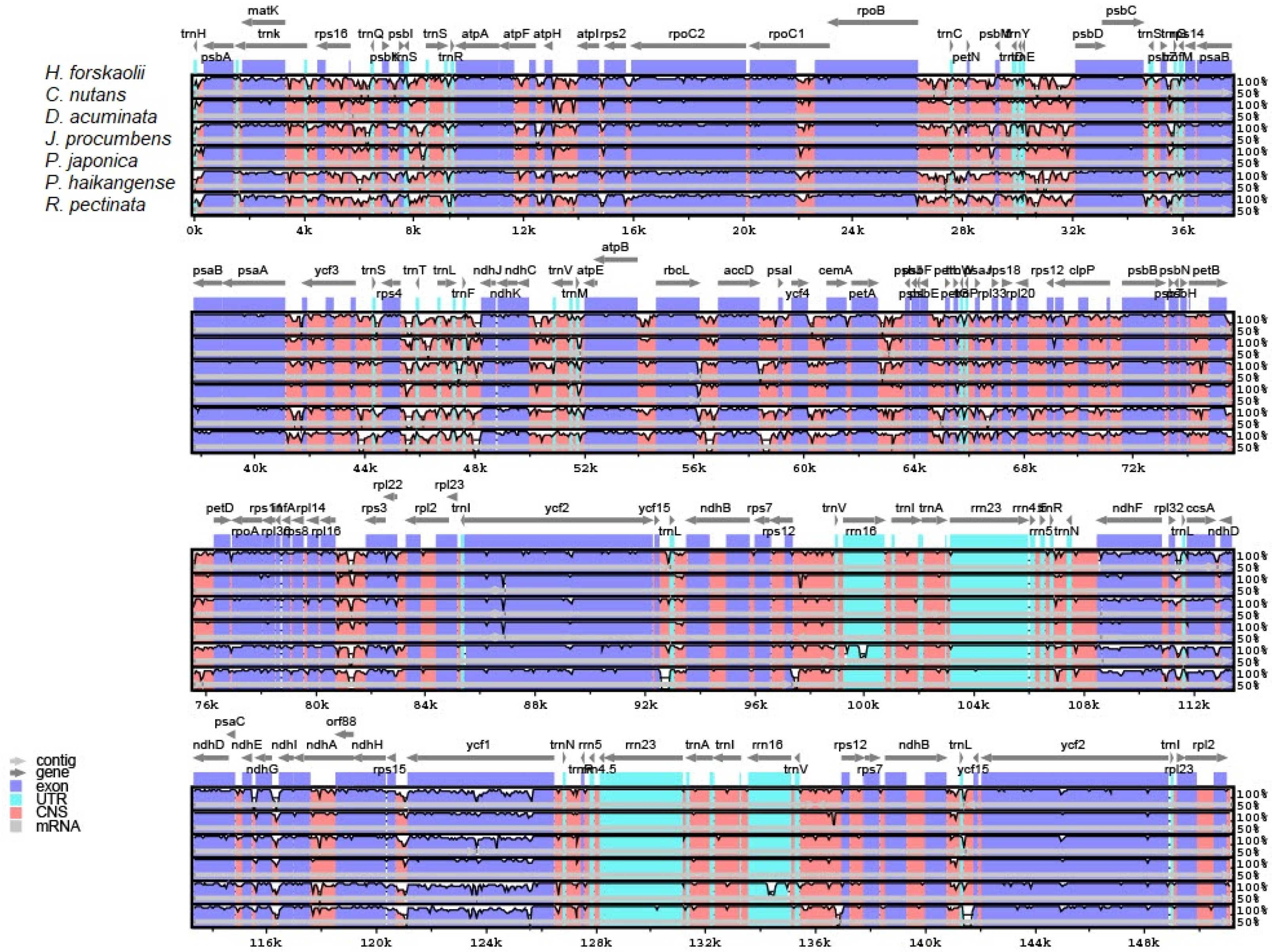 Genes 13 02259 g005 Genes 13 02259 g005