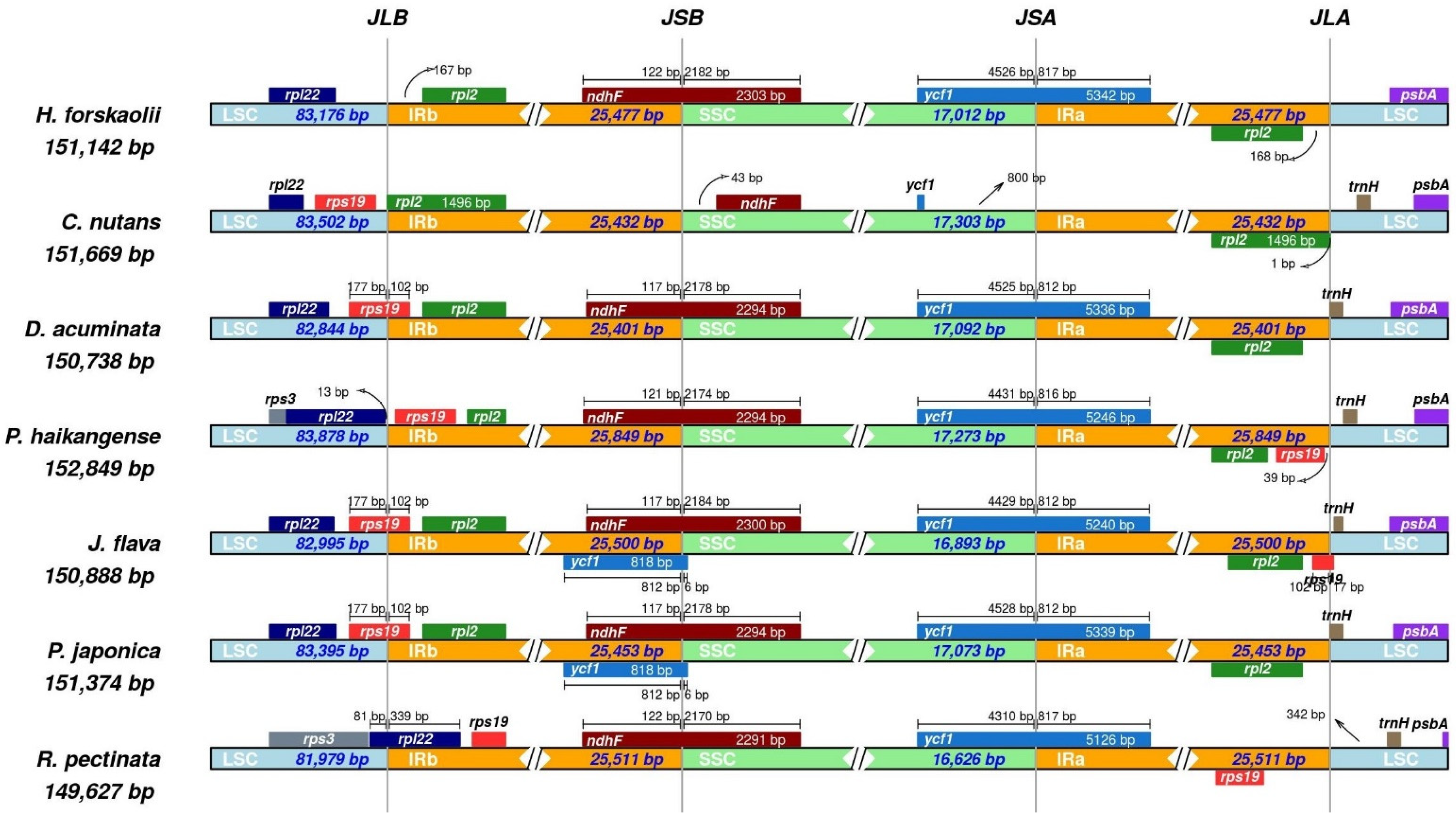 Genes 13 02259 g006 Genes 13 02259 g006