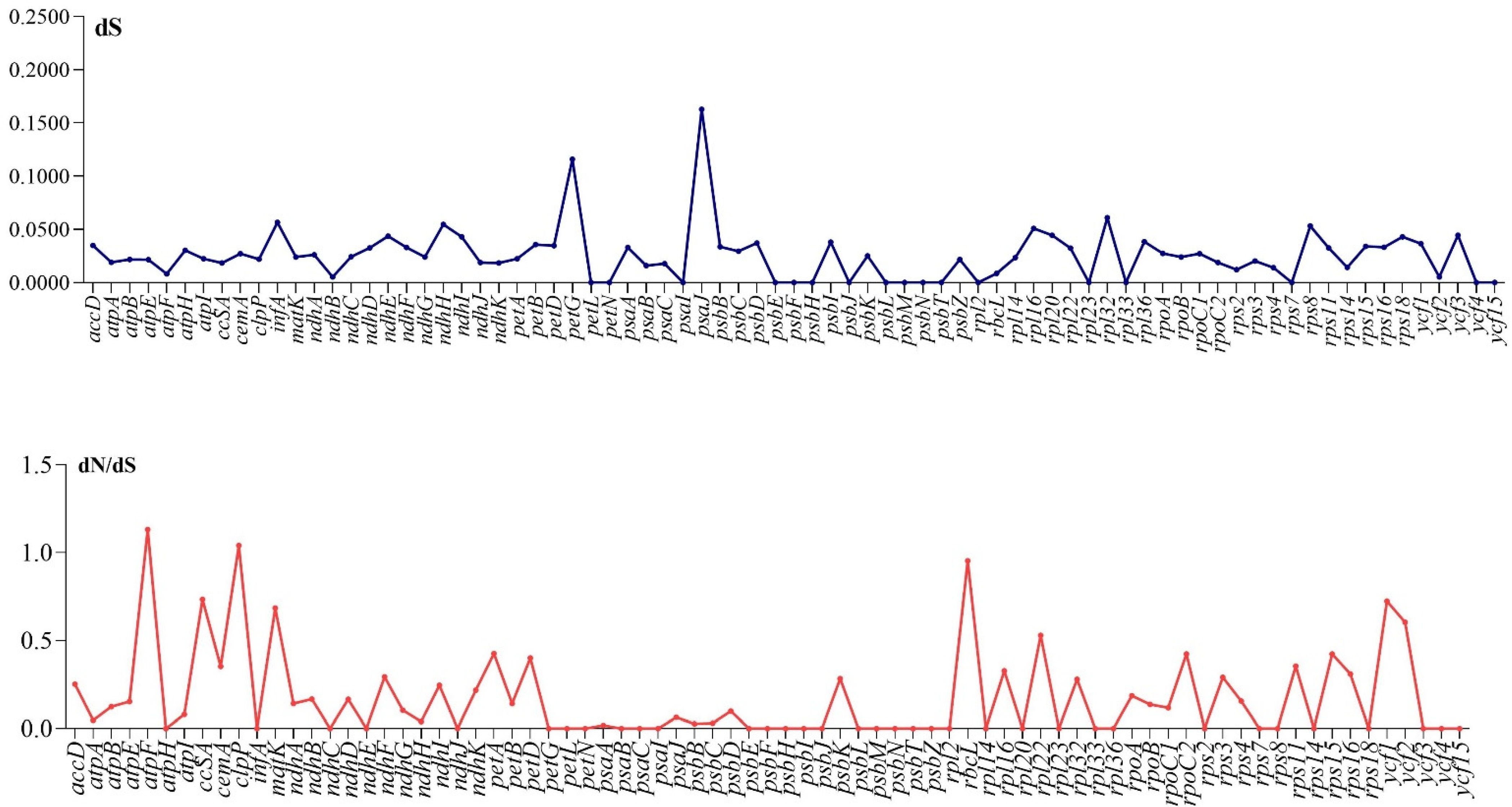 Genes 13 02259 g007 Genes 13 02259 g007